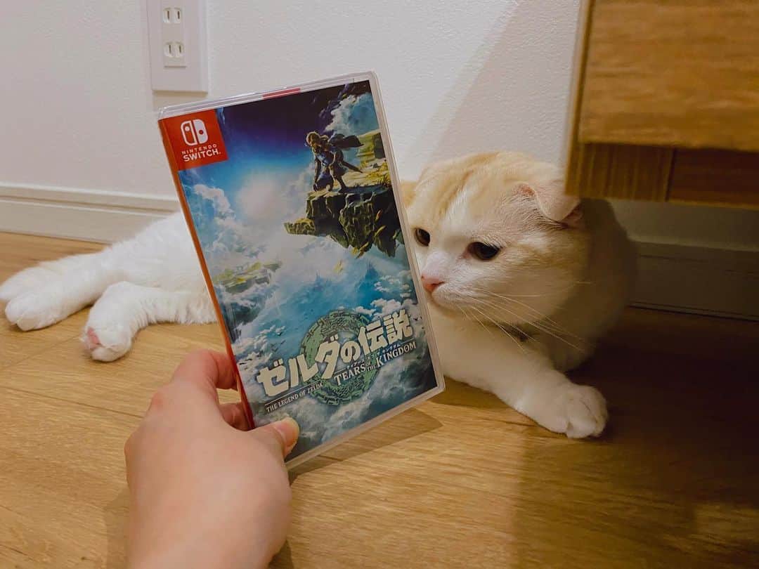 はなぼくろきなこのインスタグラム
