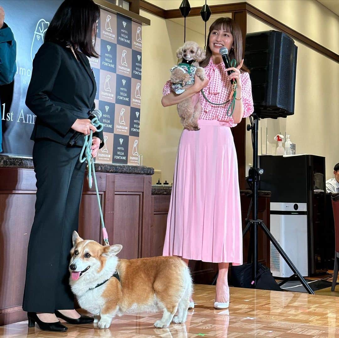 矢田亜希子さんのインスタグラム写真 - (矢田亜希子Instagram)「今日はもなちゃんと一緒にinumo芝公園さんのイベントに参加させていただきました‼︎ 愛犬家のためのペットと一緒に泊まれるホテルのinumoさん。至れり尽くせりでとても綺麗でラグジュアリーで素敵な空間でした！レストランでもわんちゃんと一緒にお食事もできてわんちゃんと離れることなくずっと一緒に過ごすことができます🥹楽しい時間をありがとうございました！ #inumo芝公園 #ペットと泊まれる宿 #ペットと一緒 #トークショー#快適#清潔 #至れり尽くせり#もなかも大喜び#安田大サーカス団長 さん#お部屋快適#ベッドの上もok #嬉しいですね😊 #わんちゃんメニュー考案#MONAKAの最中#販売中#もなか そして今日のお洋服はわんちゃん🐶柄❤️ @akrisofficial」5月12日 23時03分 - akiko_yada