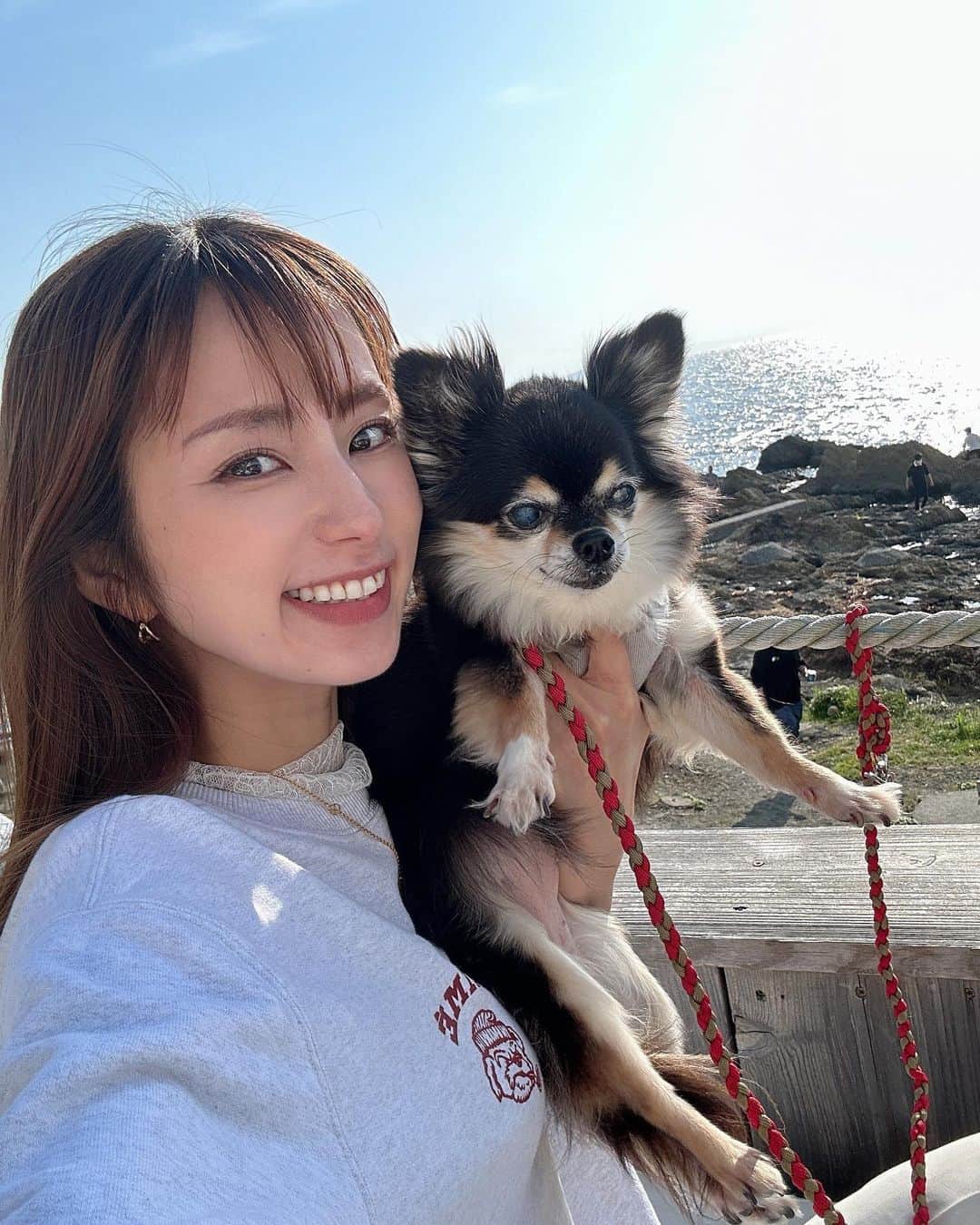 前田ゆうのインスタグラム：「14さいおめでとう🎉🎂🐶」