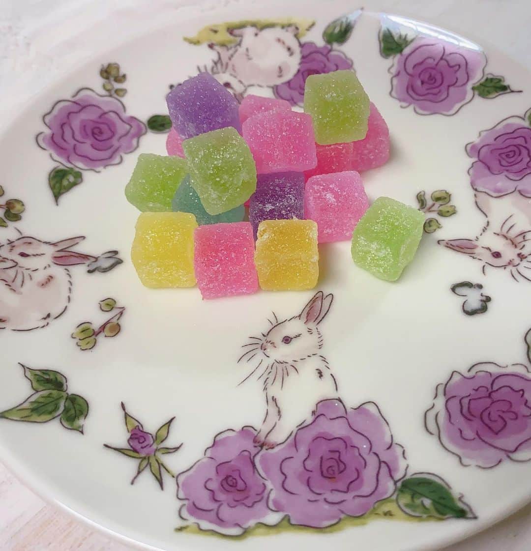ラン?さんのインスタグラム写真 - (ラン?Instagram)「キエコさん（@peperon109）のうさぎデザインのお皿お迎えしました🥰 ステキ～ﾟ+.ﾟ(´▽`人)ﾟ+.ﾟ✨️✨ 2枚目: 薔薇と椿デザインは今回購入したもので、菊デザインは以前に購入したものです🐇💗 3枚目: 彩りが可愛いから、寒天ゼリー盛り付けたけど、センス無さすぎて😂😂😂 #うさぎのコナン  #うさぎ #うさぎのいる暮らし #rabbit #ネザーランドドワーフ #ふわもこ部 #もふもふ部 #netherlanddwarf #kawaii #かわいい #うさぎ部  2023.05.12」5月12日 23時49分 - mofumofuusako