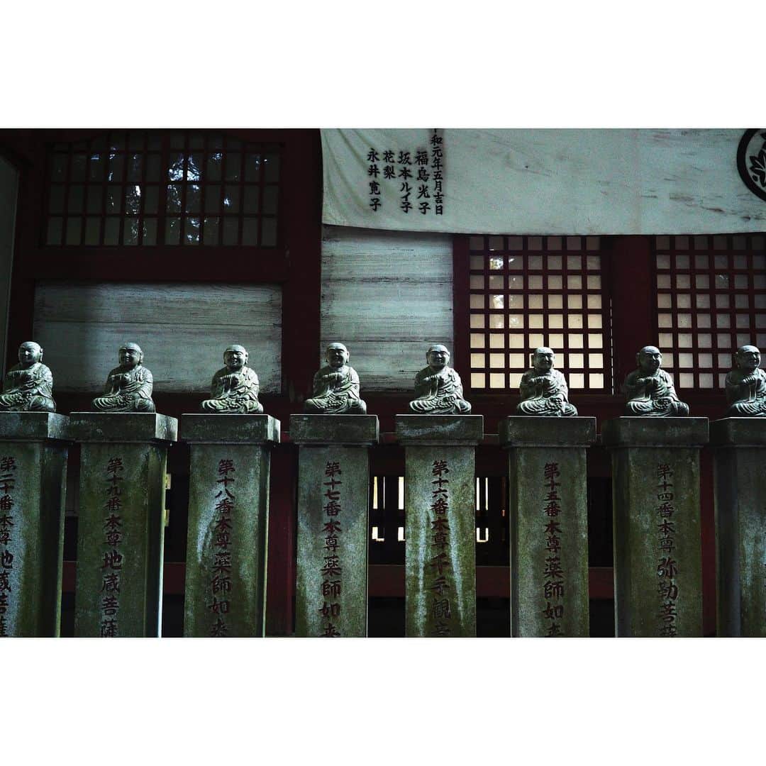 立花陽香さんのインスタグラム写真 - (立花陽香Instagram)「薬王院には烏天狗🐦👺🪶が祀られています。  日本の神社には社格や格式があったり、運気が良くなると話題のパワースポットのようなものがありますが、人それぞれですよ。気持ちの良い場所に出会ってね。  #高尾山 #高尾山薬王院 #薬王院 #烏天狗 #カラス天狗」5月13日 0時38分 - haruka_4
