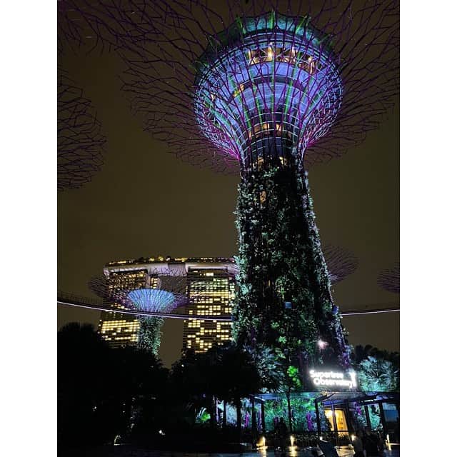 稲沢朋子さんのインスタグラム写真 - (稲沢朋子Instagram)「ライトアップ✨ 見上げて観るのもまた美しい  #Singapore #イルミネーション」5月13日 0時34分 - ina_tomo