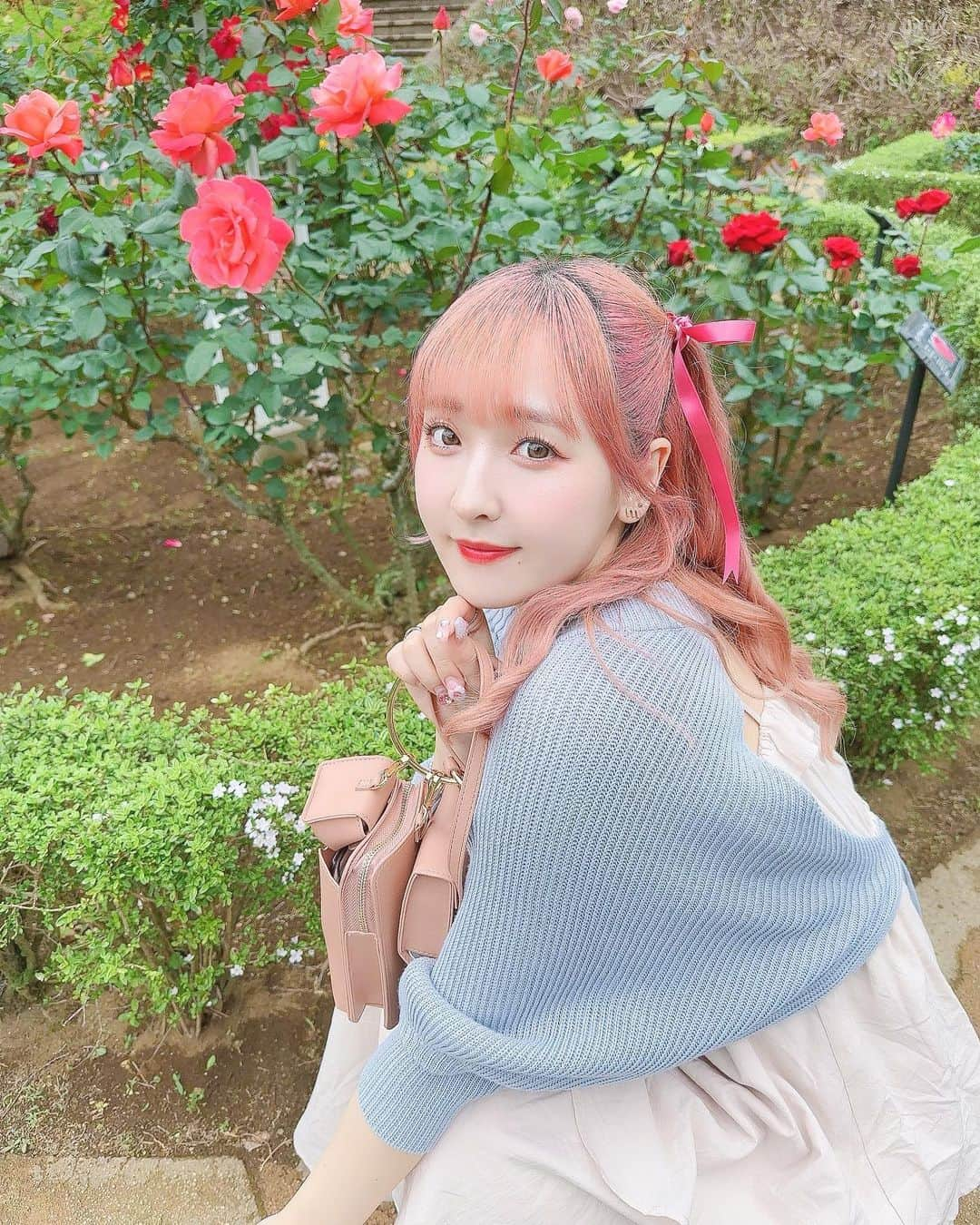 谷口夢奈さんのインスタグラム写真 - (谷口夢奈Instagram)「🌹 ⁡ ⁡ 薔薇園行ったよ〜！ 今年は花畑フライングしがち😉 満開よりはちょっと早かったかも？ ⁡ ⁡ ⁡ #旧古河庭園 #旧古河庭園バラ園 #バラ園 #rose #stylinghair #pinkhair #ribbon #migeut #miumiu #instagood #ヘアアレンジ #ピンクヘア #リボンアレンジ #ハーフツイン #ミュウミュウ #셀스타그램  #얼스타그램 #데일리룩 #오오티디」5月13日 18時00分 - yuna_tani