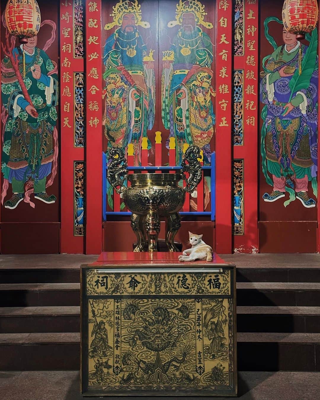 言身寸 in Tainan, Taiwanのインスタグラム：「小橘  #虎爺實習生 - 「#怎麼這樣拍人家啦」 - #本事空間製作所台南工事部 - 2023.5.13 #taiwan #tainan #台灣 #台湾 #台南 #写真」