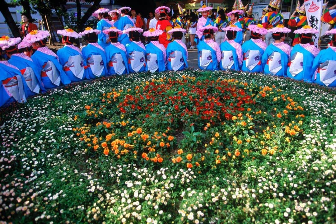 Michael Yamashitaさんのインスタグラム写真 - (Michael YamashitaInstagram)「May is a major month for festivals on the Japanese calendar. Kicking it off during Golden week is the Hakata Dontaku (Holiday festival) in Fukuoka on the southern island of Kyushu. The festival features 30,000 dancers with 2 million spectators cheering them on. Here is a small slice of the parade.  #hakatadontaku #matsuri #fukuoka #kyushu」5月13日 3時15分 - yamashitaphoto