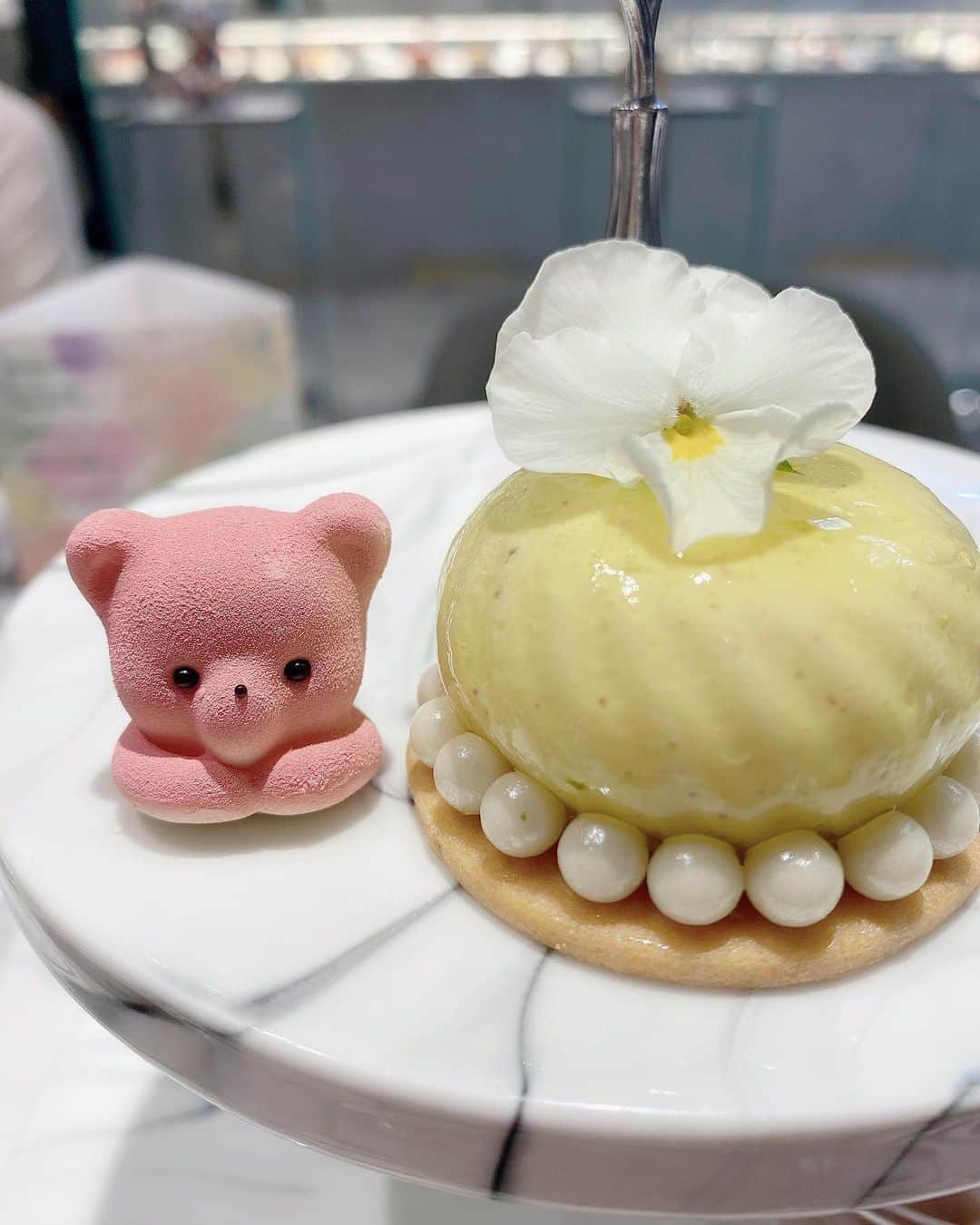 一ノ瀬まりなさんのインスタグラム写真 - (一ノ瀬まりなInstagram)「🍰🧸🍰🧸🍰  LOUANGE TOKYO Le musee🐻‍❄️🤍 今回もどれもとっても美味しくて可愛かった🍰💕  食べ物と美容のお話ずっとしてた🫶💄笑 ゆみさんありがとうございます😚✨ @yumi_shibuya_nini  #louangetokyolemusee #louangetokyo #afternoon #afternoontea #ルワンジュ東京  #ルワンジュ東京ルミュゼ」5月13日 13時54分 - yuyuyu_marina