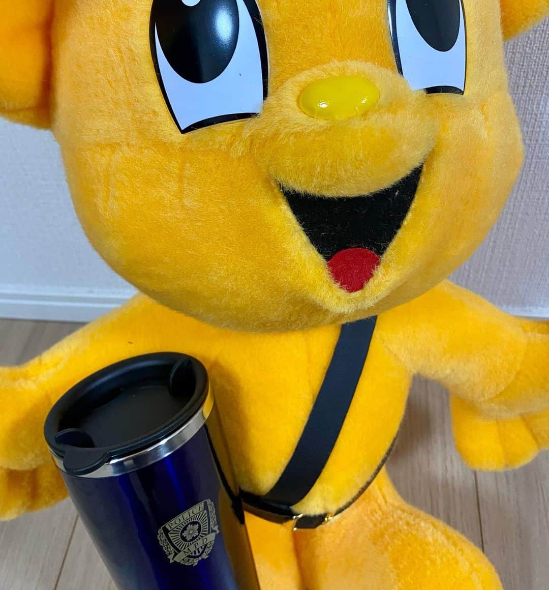 渚さんのインスタグラム写真 - (渚Instagram)「何かの間違いじゃなくて、ホンマやねん うちが誰よりも一番、ホンマか？って思ってたし  【春の全国交通安全運動（5月11日〜5月20日）】で、三田警察署の一日署長をさせて頂いた 去年の10月には【特殊詐欺根絶キャンペーン】で、小岩警察署の一日署長もさせて頂いてる 一日署長、二回目  ？？？？？  秋に一日署長、春に一日署長 2シーズンに1回のペースで一日署長 もうこわなってきた  今回の【春の全国交通安全運動（5月11日〜5月20日）】の一環で、JR田町駅で白バイ隊員の方に交通ルールのお話し聞いたり、今のとこ努力義務ではあるけど、自転車で事故した時の約7割が頭部の怪我らしくて、ヘルメット被った方が自分を守れますよ、みたいな事が知れたり、意識的に安全を考えながら過ごしてもらう為に、除菌シートとかティッシュが入った交通安全のチラシ入りグッズを街の人たちに配ったりして、交通安全運動を呼び掛けさせてもらった  グッズを配る時は、うちが街の人たちと接するの心配なったんか、うちの事好き過ぎたんか、三田交通安全母の会のお姉さんが、うちの横付きっきりで、グッズ配りしながら交通安全運動を呼び掛けてくれはった お姉さんはずっとうちの横で「渚ちゃんでーす！渚ちゃんがグッズ配ってまーす！渚ちゃん！あの方にも配って！渚ちゃんでーす！春の交通安全運動の渚ちゃんでーす！渚ちゃーん！」って、声掛けまでしてくれてはった めちゃめちゃ心強かったし、そのお陰でうちはたくさんの人たちに人見知る事なく、グッズも配れて交通安全運動も呼び掛けさせてもらえた  そして、白バイにも乗せさせてもろた 白バイに追い掛けられる側じゃなく、一日署長として春の全国交通安全運動の一環で、安全に過ごして下さいって呼び掛けさせてもらう側で 白バイに乗った時、うちの横で付きっきりでフォローして下さってた三田交通安全母の会のお姉さんに「白バイ乗ってるとこ写真撮りますか〜？」って聞いたら 「写真はいい〜っ！」ってすぐ断られた  恥っず！ ほんまにうちが街の人と接するの心配してたんちゃうか  ピーポくんとPOLICEタンブラー、頂いた つかまったからじゃない 一日署長をさせて頂いたから ピーポくんは前回も頂いたから、二人目  お家で緊張しながらPOLICEタンブラーでハイボールかまそう  【春の全国交通安全運動（5月11日〜5月20日）】とは言うてるものの、季節関係なく、皆んなで一年中いつも安全に過ごそな」5月13日 14時12分 - nagisainter