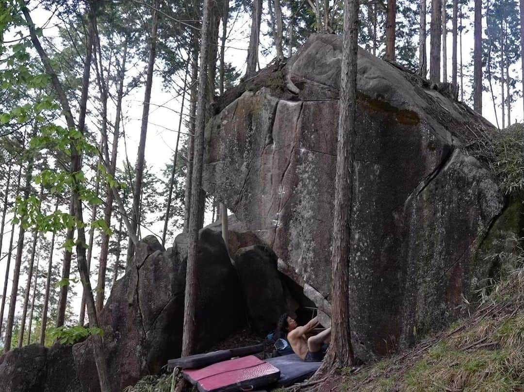 小山田大のインスタグラム：「一昨日も笠置山開拓地へ。 先日整備をすましておいたルーフから顕著なクラックを辿る美しいラインを初登した。 上部クラック帯が核心となるのだが、いくつかの甘いジャミングとバランスの悪いムーブからのデッドで、ランディングの悪さと少々高い事も程良いスパイスとなり、最高に良い課題だった。 こういう課題は良いなあ。 課題名は「玉響」V10 三段−  夜はその下のスッパリとした前傾フェースのプロジェクトをトライした。 これは難しい、ムーブがいくつか解決せず、指をざっくりと裂いて終了。 でも不可能では無さそうだ。 指を治してリベンジしたい。」