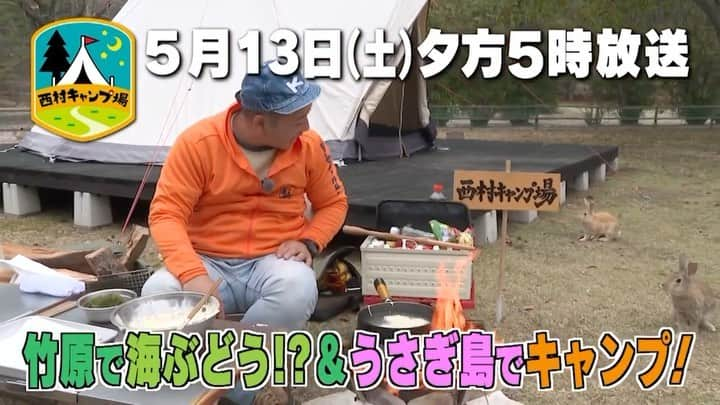 西村瑞樹（西村キャンプ場）のインスタグラム：「いよいよゴール🚩  今日13日(土)夕方５時からの『#西村キャンプ場』は、 “ハラハラ”キャンプ旅最終章！  竹原市でまさかの食材「海ぶどう」が！？ 地元漁協と市が協力して作るプッチプチの海ぶどうに大感激🥺  この旅最後のキャンプ地は、 うさぎの島・大久野島！  うさぎとおじさんのキャンプが スタートします🐰  キャンプ飯１品目は、 ハラハラ旅の集大成となる「ハラハラ天丼」！   海ぶどう、ニンニク漬けタコ、レンコンを使った 贅沢キャンプ飯に、ウサギたちも興味津々…🐇🐇🐇  ２品目はチョコレートを使って、 シェラカップで作る「シェラカップリン」に初挑戦！   さらに、ゴール地点ではコイの予感…！？💕  ▼動画の続きは番組HPから @tss_nishimuracamp  🌳🌳🌳🌳🌳🌳🌳🌳🌳  TVerで期間限定配信中！  ラインナップはこちら👇 🏕広島駅〜宮島編 🏕小峠さん登場！国道375号線キャンプ旅 🏕広島のスター奥田民生が来たぞ〜SP  🌳🌳🌳🌳🌳🌳🌳🌳🌳  #バイきんぐ #バイきんぐ西村 #camp西村 #camp #camping #outdoor #広島 #広島旅行 #うさぎ #大久野島 #うさぎ島 #三原 #キャンプ #キャンプだホイ #TVer #小峠英二 #奥田民生 #OT」