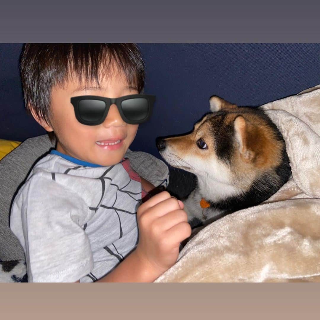 木内江莉のインスタグラム：「ソファでゴロゴロTimeな👦🏻🐕  凛は7歳 廉は4歳 ケンは1歳  なんだかんだみんな３歳差な我が家👏💓笑  廉は保育園で遠足でした👦🏻 ピーマン食べれるの凄いね〜とたくさん褒められたのが嬉しかったのか、ずーっと誇らしげに教えてくれたよ🥹 ほんっっと可愛い⭐︎ 今日も保育園のお友達と遊べるの楽しみだね😌👍  #豆柴#黒柴#三毛豆柴#まめしば#まめしばすたぐらむ#海と犬と子供#豆柴のいる暮らし#日本犬#海大好き夫婦#４人家族#犬１匹#ハーフママ#インドネシア#クウォーターキッズ#古着#都内から移住#共働き夫婦#ふらっと海へ行ける生活」