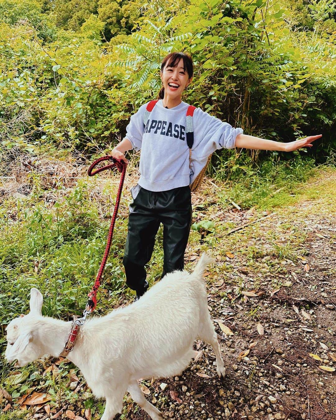 菊井彰子のインスタグラム：「【日本一自由度が高いと噂のグランピング施設へ🏕️ 】  千葉県富津市の房総にある "日本一自由度が高い"と言われている "古民家グランピング施設"🐐 『和心村』 @washinmura_nature_glamping  へ千葉LIVEニュースの生中継レポートで行ってきました♡  山の中にあってまるでリアルトトロの世界😍 ヤギの人懐っこいイーサちゃんが可愛すぎたよぉ🐐  築200年近くのひろーい古民家のお部屋や（７枚目） 長屋門を再生して造られたお部屋（4〜6枚目） THEグランピングなテントのお部屋（８枚目） など全6部屋あります。  "リフレッシュポイント" ・とっても人懐っこいヤギ、猫、犬と触れ合えるよ♪ お散歩もできちゃう。 猫ちゃんはゲストさえOKならば添い寝してくれるらしい💤笑  ・薪割り体験もできて写真のようにカゴを背負って裏山で自分で木を拾ってきてもOK!笑  ・今の時期は裏山からタケノコも取り放題🤣  ・一泊２食付きで夜ご飯はBBQ。（写真はこれで2人前） グランピングは火を出していい時間が決められている所多いけれど、好きな時間に食べて飲んでいいし焚き火も自由🍖  日本の伝統の良さに触れながら大自然を感じつつグランピングを体験できまーーす！！  子供ちゃんは大喜びだろうなぁ😍  是非夏の思い出に遊びに行ってみてくださいねーー‼️   #写真はイーサを散歩しながら薪にする木を拾ってるところです🤣 #和心村  #千葉LIVEニュース #古民家グランピング」