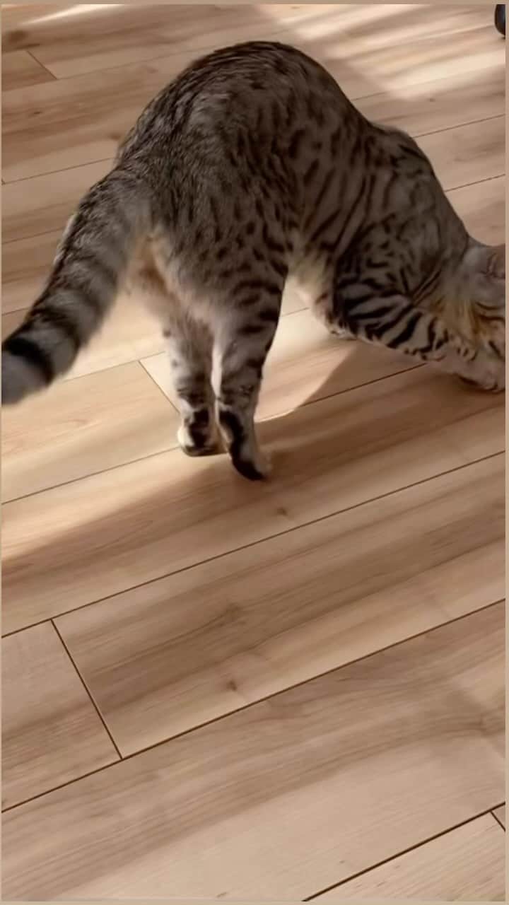 なごむのインスタグラム