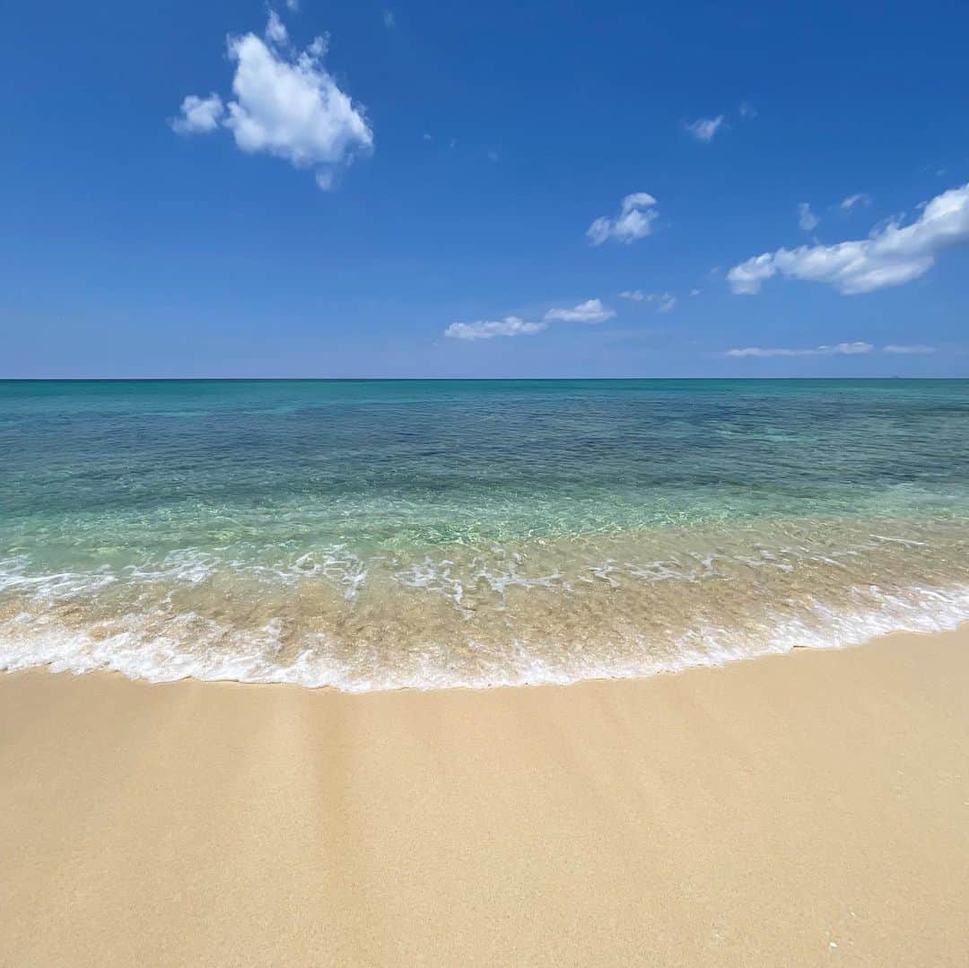 田中律子さんのインスタグラム写真 - (田中律子Instagram)「夏のような沖縄〜🌴🌞🌈🏄  家にいたら、汗だく💦になったから、シャワーがわりに海でSUP🏖️  家から5分でこんな最高なビーチに行ける幸せ✨🏄誰もいないし、上陸してのんびり🌞  はぁ〜なんて幸せなんだ🤩  Tシャツ @roxyjapan   #okinawa  #okinawalife  #beachlife  #lifeisbeautiful  #savetheocean  #roxyjapan #海のある生活  #家から5分」5月13日 9時54分 - ri2kotanaka