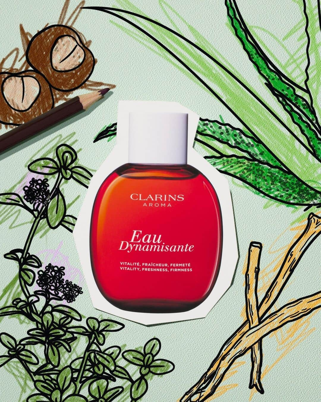 Clarins Australiaさんのインスタグラム写真 - (Clarins AustraliaInstagram)「Swipe to see some gorgeous drawings of our iconic Clarins skincare ingredients, just in time for Mother's Day!⁣ ⁣ #Clarins #Skincare #Beauty #MothersDay」5月13日 10時00分 - clarinsanz