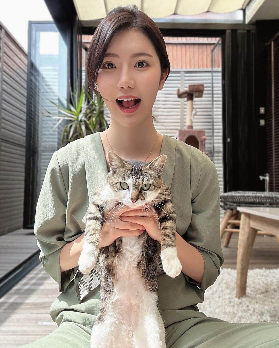 竹内佐織さんのインスタグラム写真 - (竹内佐織Instagram)「フクちゃん🐈 かわいすぎて日々悶絶 東京戻っても、鯖見る度に鯖柄フクちゃんを思い出す . .  #保護猫 #保護猫と暮らす  #猫のいる暮らし  #にゃんこ部 #サバトラ」5月13日 10時14分 - takeuchi_saori_official