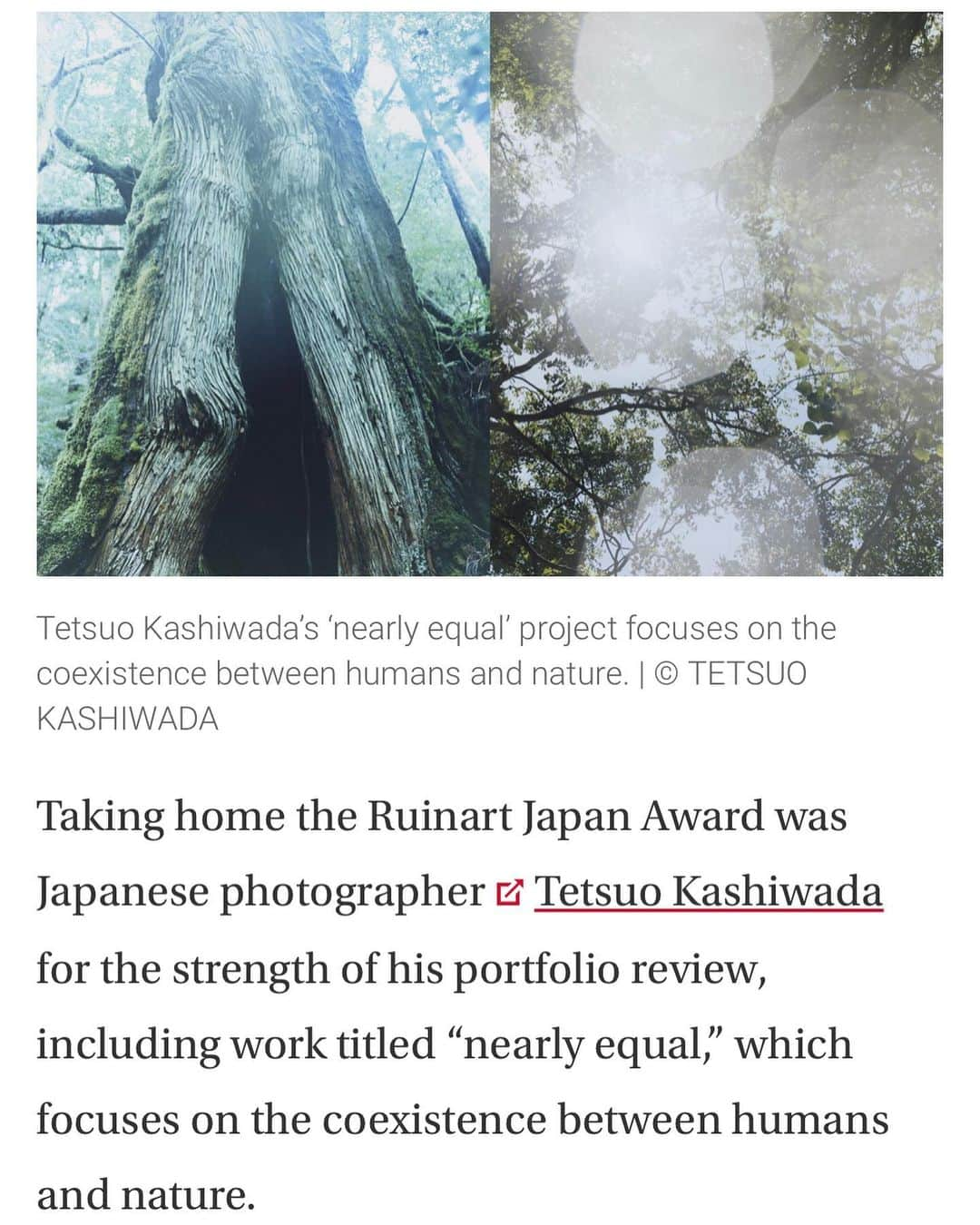 柏田テツヲのインスタグラム：「An article was published in The Japan Times. @thejapantimes My project Nearly equal   Thank you @lancestein」