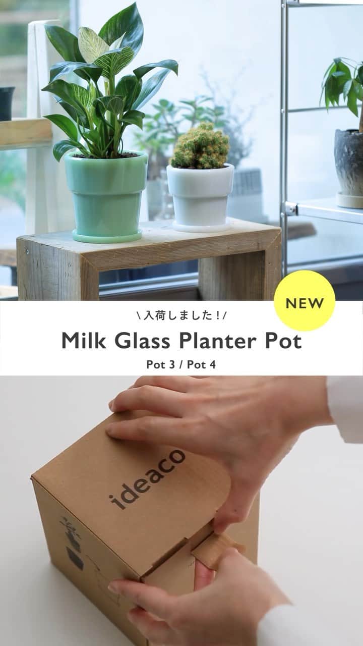 ideaco online storeのインスタグラム：「＼入荷しました／  ヴィンテージなミルクガラスの 植物プランターポット🪴  - - - - - - - - - - - - - - - - - - - -  ミルクガラスの正式な素材名は"ホウケイ酸ガラス"。1940〜80年代のアメリカンダイナーの業務用食器にも使われていた、強くて欠けにくい特徴をもつガラス素材です。 その強さに着目して、植物プランターをつくりました。   カラーは、乳白色のホワイトと、翡翠をイメージするジェードの2色。レトロな雰囲気があり、光を通すと土が透けて見え色味や雰囲気に奥行きがでます。  サイズは2サイズ。 お部屋のインテリアにもちょうど良い4号鉢サイズ(直径約12cm)と、棚やテーブルに置けるちょこんとした3号鉢サイズ(直径約9cm)から選べます。 底には水抜き穴があり、同色の受け皿付き。  Pot３(3号鉢サイズ)：4,950円(税込) サイズ:幅115×奥行き115×高さ105mm 重量:615g(受け皿含む)  Pot４(4号鉢サイズ)：6,600円(税込) サイズ:幅140×奥行き140×高さ135mm 重量:1035g(受け皿含む)  素材:ホウケイ酸ガラス  #ideaco #イデアコ #入荷しました #新製品 #2023ss #ミルクガラスプランターポット #ミルクガラス #植木鉢 #観葉植物 #植物のある生活 #植物のある暮らし  #グリーンのある暮らし」