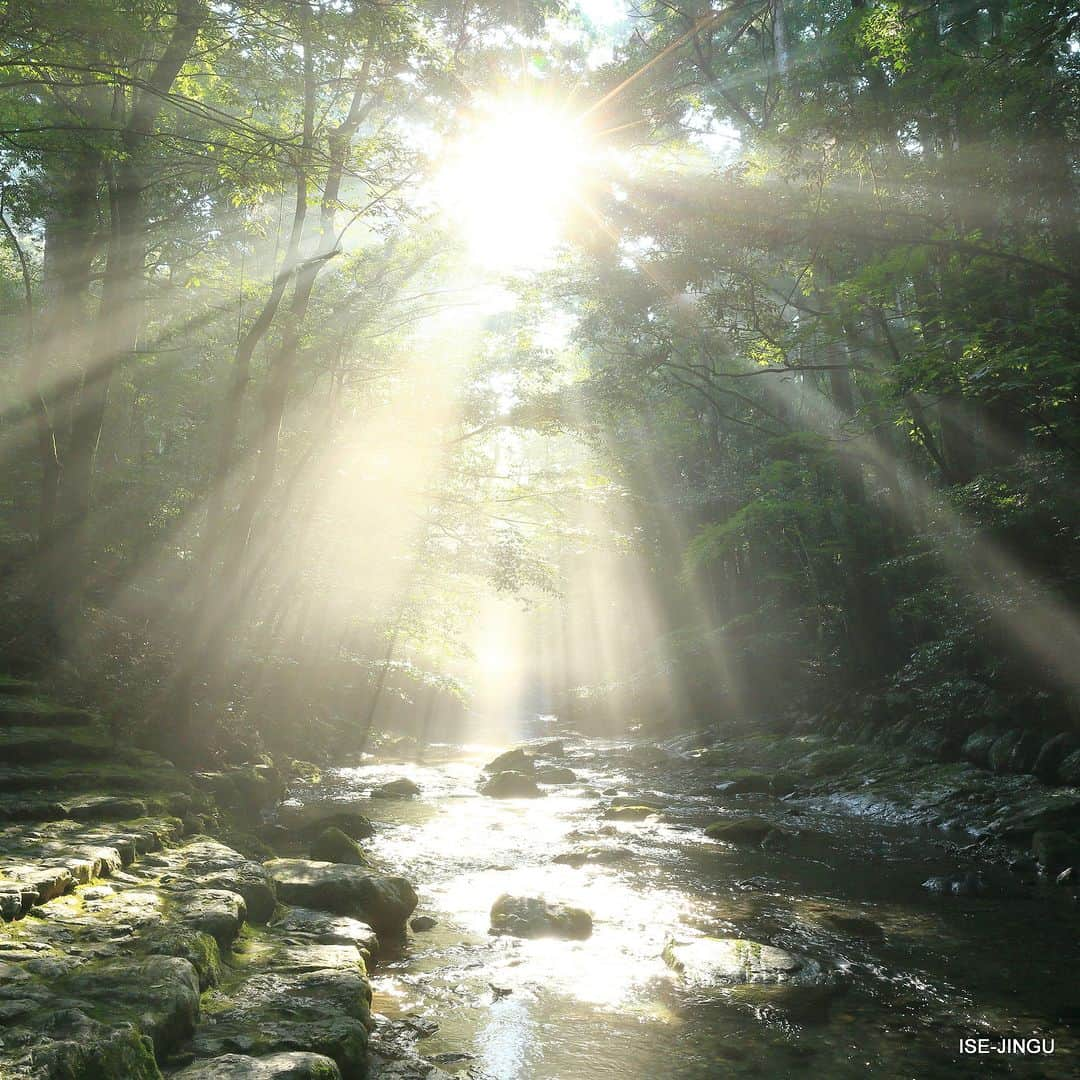 伊勢神宮さんのインスタグラム写真 - (伊勢神宮Instagram)「#伊勢神宮 #神宮 #神社 #心のふるさと #内宮 #別宮 #瀧原宮 #頓登川 #御手洗川 #度会郡大紀町 #光芒 #isejingu #jingu #soul_of_japan #japan #jinja #shinto #Takihara_no_miya #Takihara_no_narabi_no_miya #Tondo_river」5月13日 11時00分 - isejingu.official