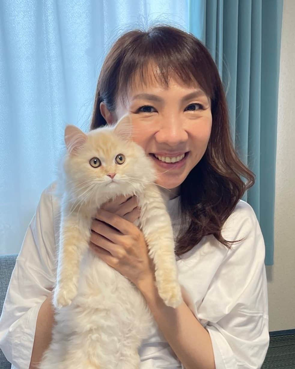 樹里咲穂さんのインスタグラム写真 - (樹里咲穂Instagram)「サイベリアンのおだしくんに会ってきました❤️❤️❤️ まだ生まれて半年の子猫ちゃん🐱 たんぽぽの綿毛のようにふわっふわで抱き心地最高😆 すぐに仲良くしてくれて嬉しかったなぁ😍 久しぶりに私の猫欲が満たされました🥰」5月13日 11時17分 - juripyon1028