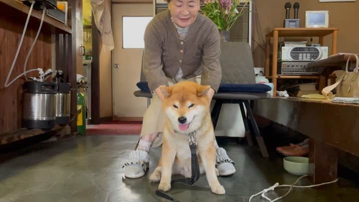 Ryujiのインスタグラム