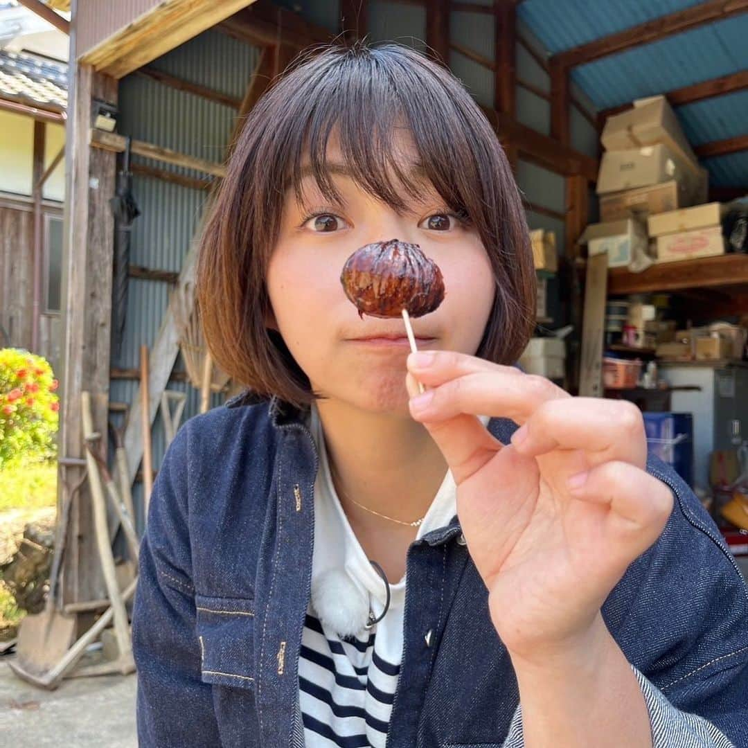 稲富菜穂さんのインスタグラム写真 - (稲富菜穂Instagram)「このあと12時から KBS京都📺夢追人放送です！  滋賀編京都編と出演させて頂いてます🥺 宜しくお願いします🌰♩  #夢追人 #kbs京都」5月13日 11時31分 - inatomi74