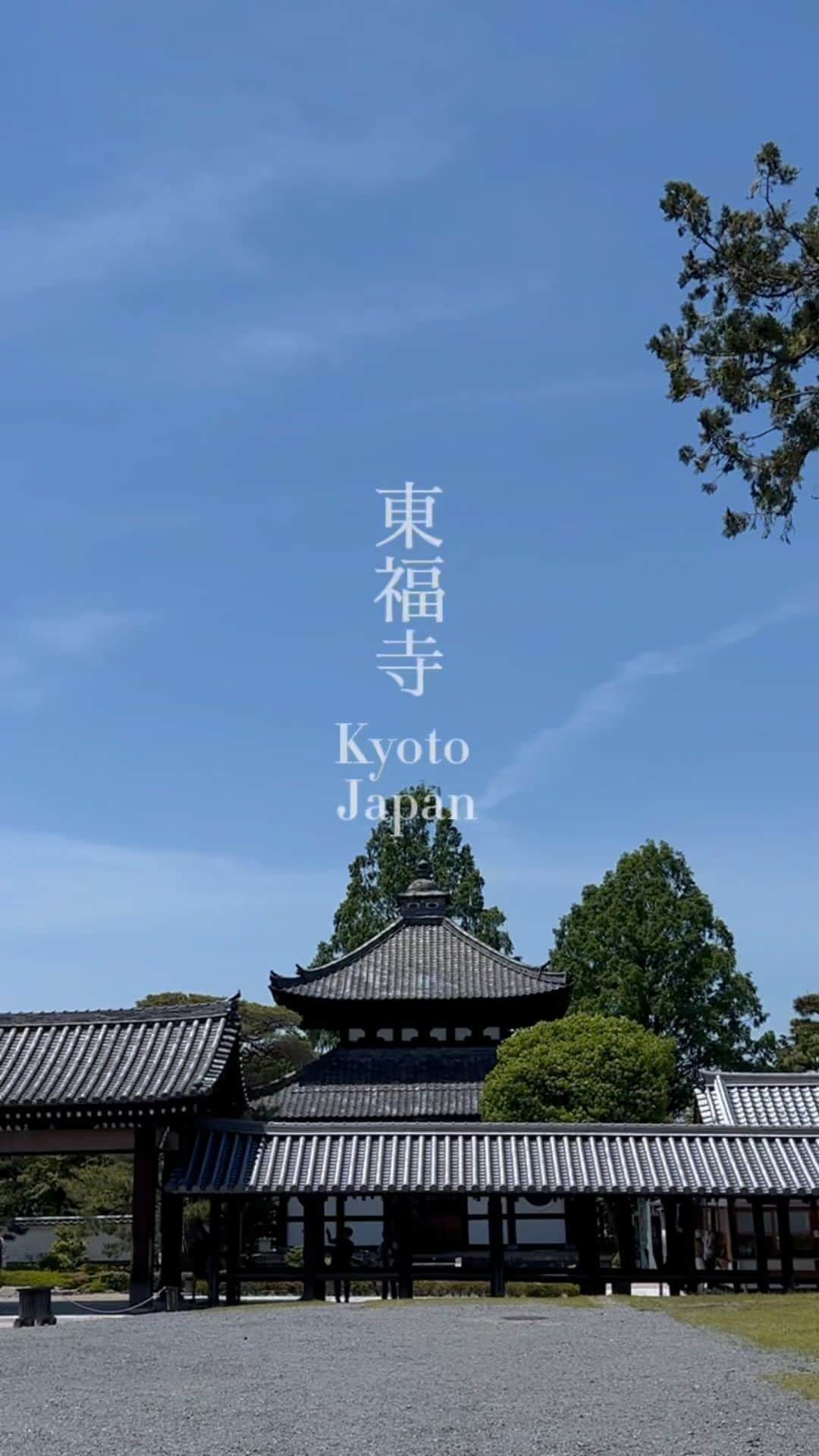 JAPAN TRIP 大人旅〜厳選の宿〜のインスタグラム：「． ■JAPAN collection “KYOTO” 📍東福寺／Tofukuji Temple  #kyototrip #visitkyoto #visitjapan #japantrip #kyotojapan #kyototemple #東福寺 #京都旅行 #京都のお寺 #新緑」