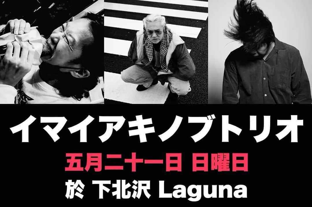 イマイアキノブのインスタグラム：「♦️5.21(日) @/fr 下北沢Laguna   『境内のV字大福』配信アリ  独演 イマイアキノブトリオ イマイアキノブ v.g 山本久土 g.v 大内 岳 d  開場18:00  開演18:30 前¥3000(D別)  当¥3500(D別)  入場チケット https://t.livepocket.jp/e/lzmmc (入場順は整理番号順)  配信視聴チケット¥2000 (視聴期間 配信日より1週間) https://twitcasting.tv/c:laguna_shimokita/shopcart/227541  問い Laguna(ラグーナ)下北沢 laguna@daisybar.jp (コメント欄からの問い合わせ不可) 世田谷区北沢2-2-3 1F ☎︎03 6903 4185  #下北沢laguna  #イマイアキノブトリオ #livemusic」