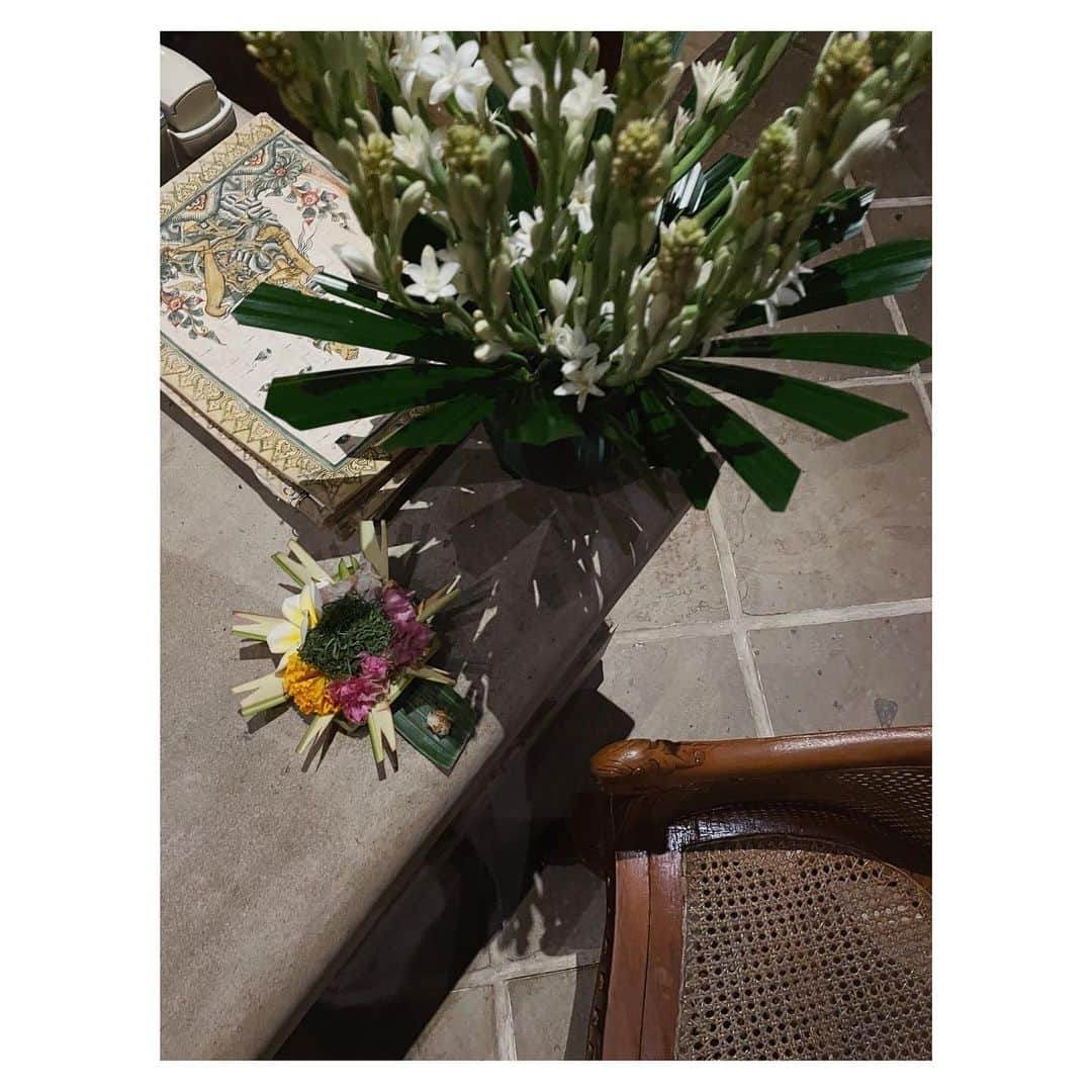 JUNNAさんのインスタグラム写真 - (JUNNAInstagram)「🐦‍⬛  旅の匂い  ロビー、ビラ、ダイニング、リゾート内の至る所に飾られたチュベローズの花。夜になると甘く濃厚な香りを漂わせる。アユン川を眼下に農村風景を臨む壮大な景色と共に記憶された旅の香り。  📍 @amandari_resort   #バリ#junna✈️ #only#amandari#tuberose」5月13日 12時46分 - junna