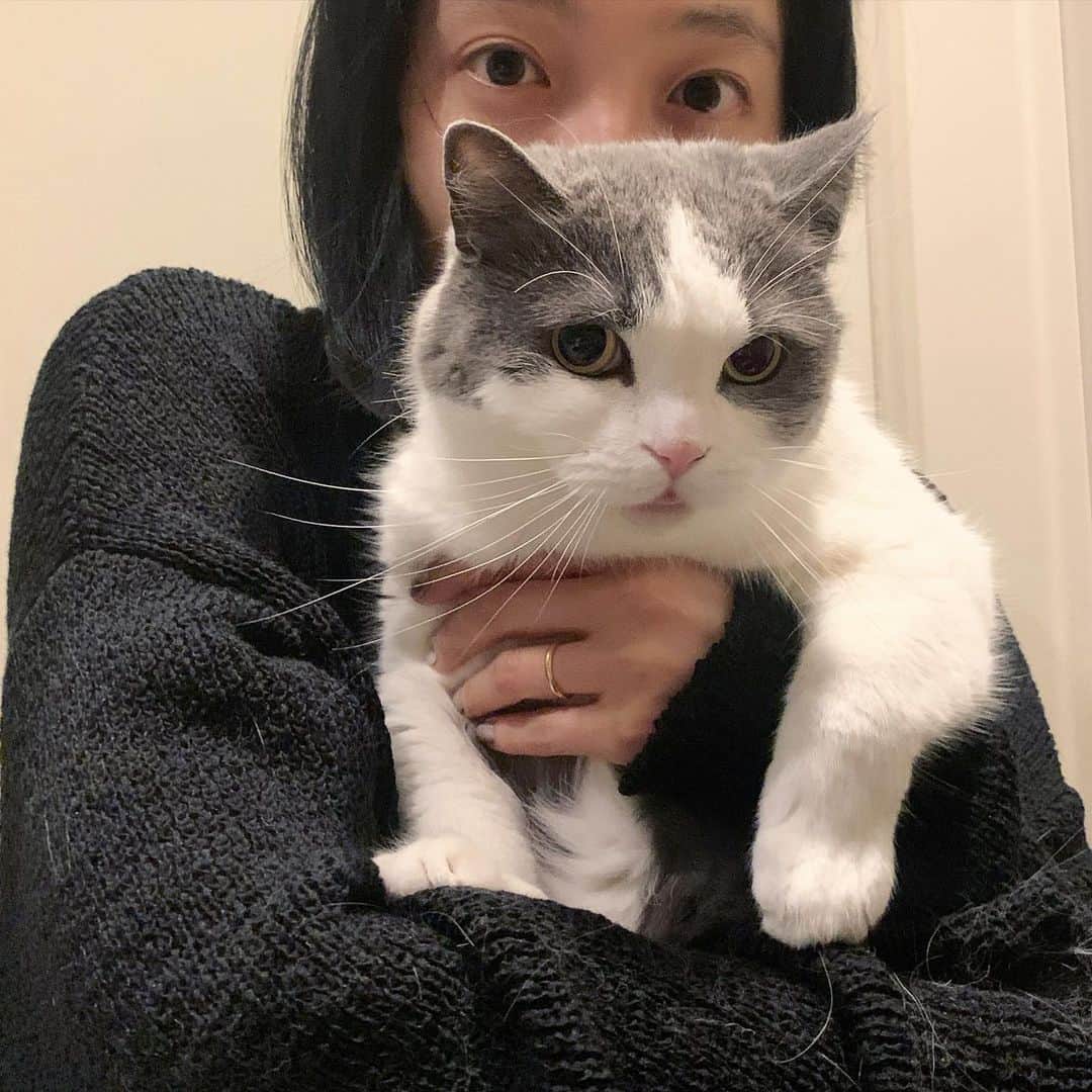 小谷実由のインスタグラム：「❤️‍🔥❤️‍🔥❤️‍🔥❤️‍🔥祝8歳❤️‍🔥❤️‍🔥❤️‍🔥❤️‍🔥」