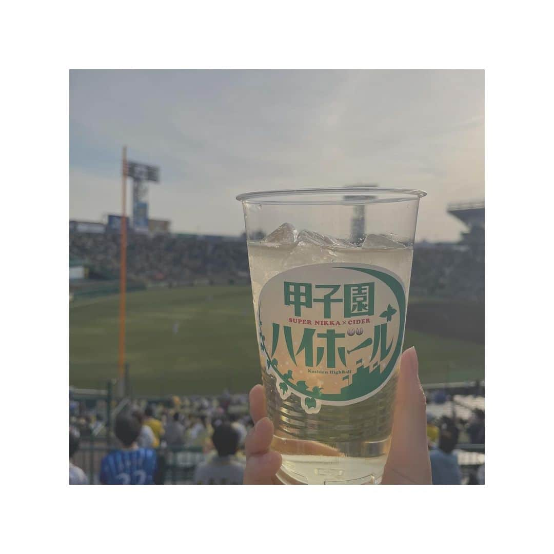 小泉里紗のインスタグラム：「🥃⚾️︎ ̖́-   #甲子園球場  #甲子園ハイボール  #ジャンボ焼き鳥  #ヨーグルト梅酒  #浜地酒造」