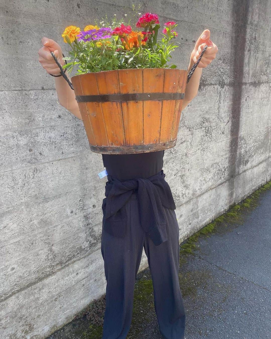 横山天音さんのインスタグラム写真 - (横山天音Instagram)「かわちい寄せ植え作った！ かわちい服反対に着てた！ うまく行くようで行かないのだ。  #寄せ植え#お花#お花のある暮らし#ガーデニング#flowers #japantravelphoto#tiktok#instagood#photooftheday#photography#happy #follow#like4like#travel #instagram」5月13日 15時30分 - amagon5546