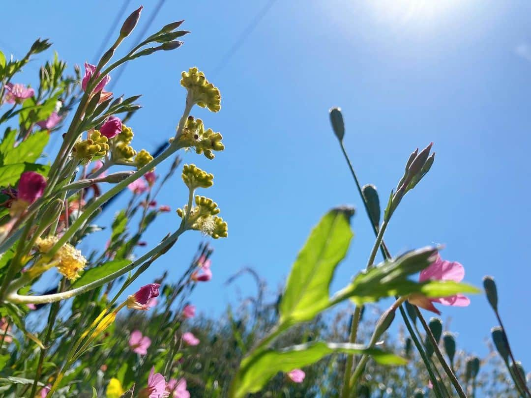 藤木由貴さんのインスタグラム写真 - (藤木由貴Instagram)「周りには変わらずいてほしい、変わっていなくて安心するって思う反面、自分は変わらなきゃ進化していかなきゃ。って思う。 正解は自分が自信をもつことだけど自由とか好きな事ばかりじゃなくて、求められた役目は真っ当したいな🌱 早く暖かくなってほしい🌞」5月13日 15時31分 - yuki.grm