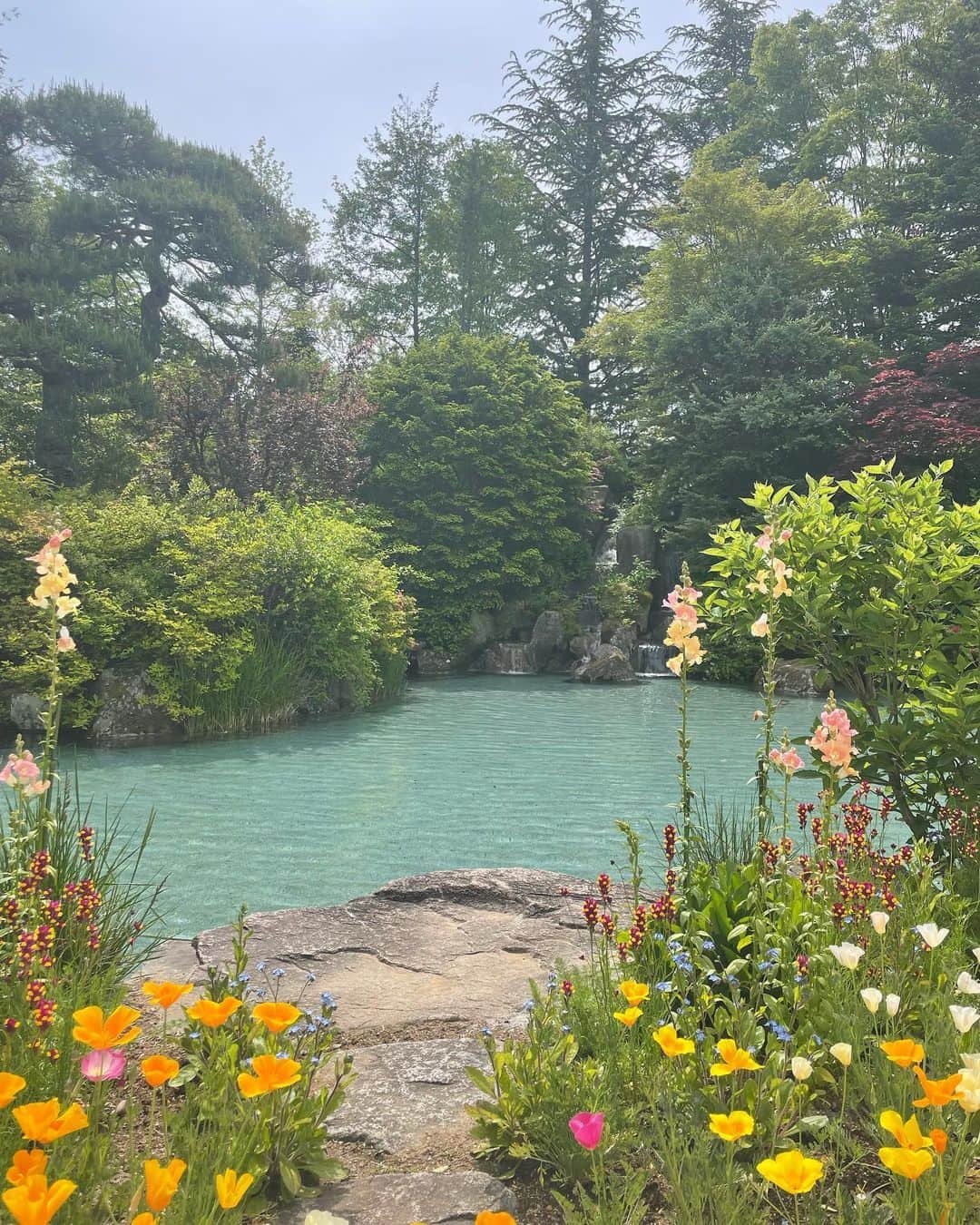 笹川友里さんのインスタグラム写真 - (笹川友里Instagram)「お仕事で長野県大町市にある @lacasta_official の ナチュラルヒーリングガーデンへ。 言葉なしでもお写真で伝わるこの自然の美しさ。。。！ 1000種類ほどの草花があるこの場所。 長野は標高が高くて日差しが強く、そこに寒暖差が加わってこの鮮やかなお花の色が現れるそうです。  配合を自分で調整しながら香りを作る体験も とても楽しく、 大人の遠足にも家族旅行にも最高でした。 帰りに長野グルメも頂き✨ 地元のお母さんたちが作るこちらは別格らしいです。 今夜の晩ご飯にしよう。  都内に居ると中々自然に触れる時間がないので 目と手と香りとで自然に触れて 最高にリフレッシュ出来ました。  上田から安曇野の探索もっとしたかったな。 とっても良いところでした。ありがとうございました！」5月13日 16時33分 - sasagawayuri