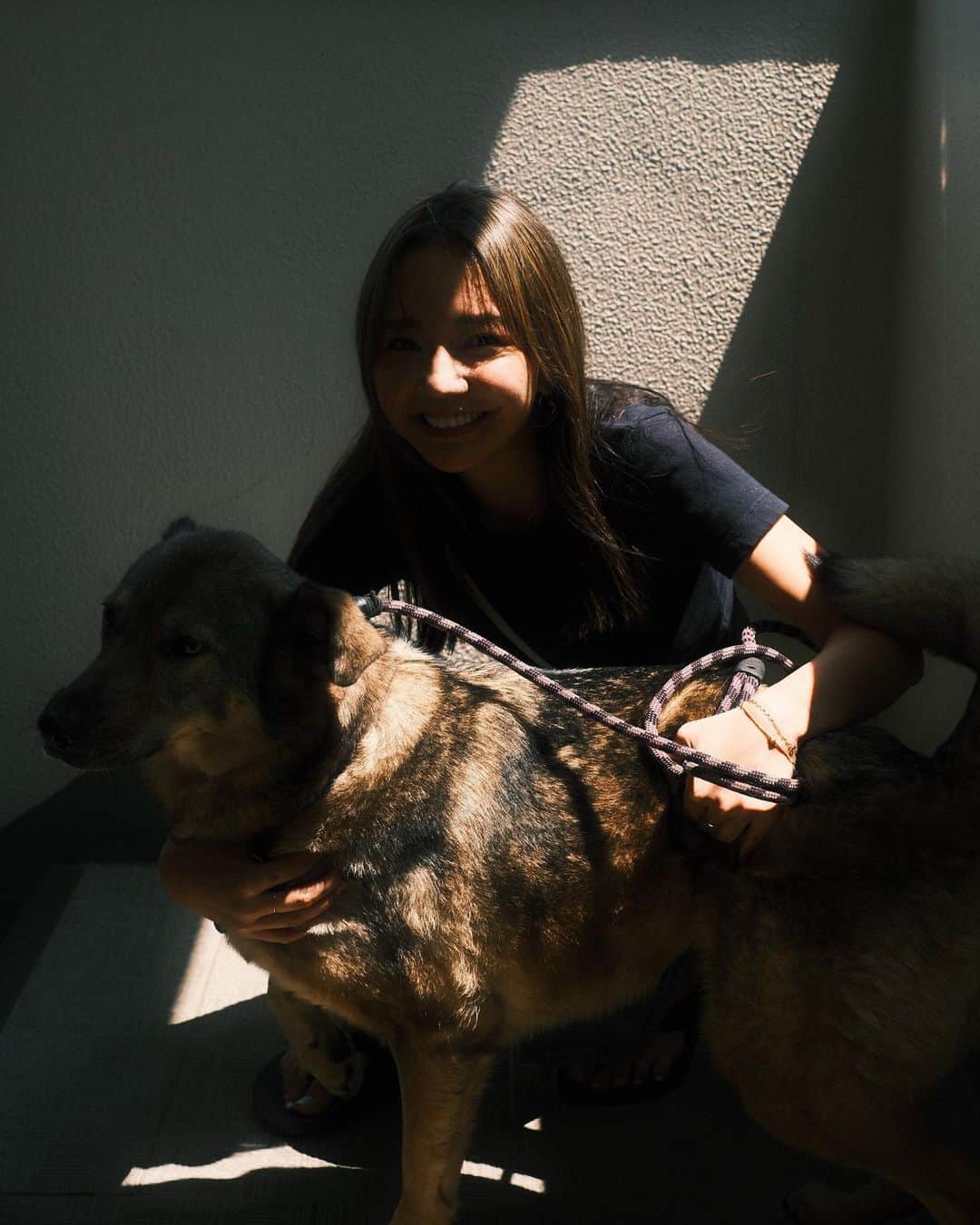 宮崎絹子のインスタグラム：「my baby girl 🐕💕 もうおばあちゃんだけど いつまでたってもベイビー💕  大型犬と暮らしてる女の子いる？ ともだちなりたい🤣💕  #germanshepherdmix #ペットのいる生活」