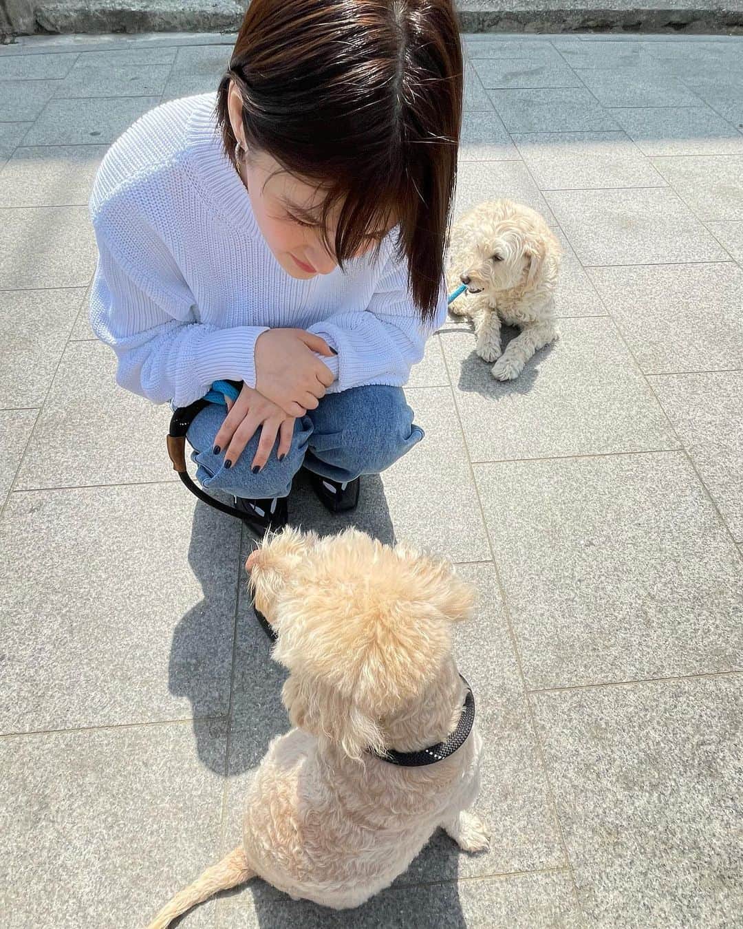 キム・ヨンジさんのインスタグラム写真 - (キム・ヨンジInstagram)「강아지와 함께하는 주말🐶 저녁에는 무조건 구미호뎐 1938  #구미호뎐1938   본방사수💞」5月13日 17時08分 - demi_kimee