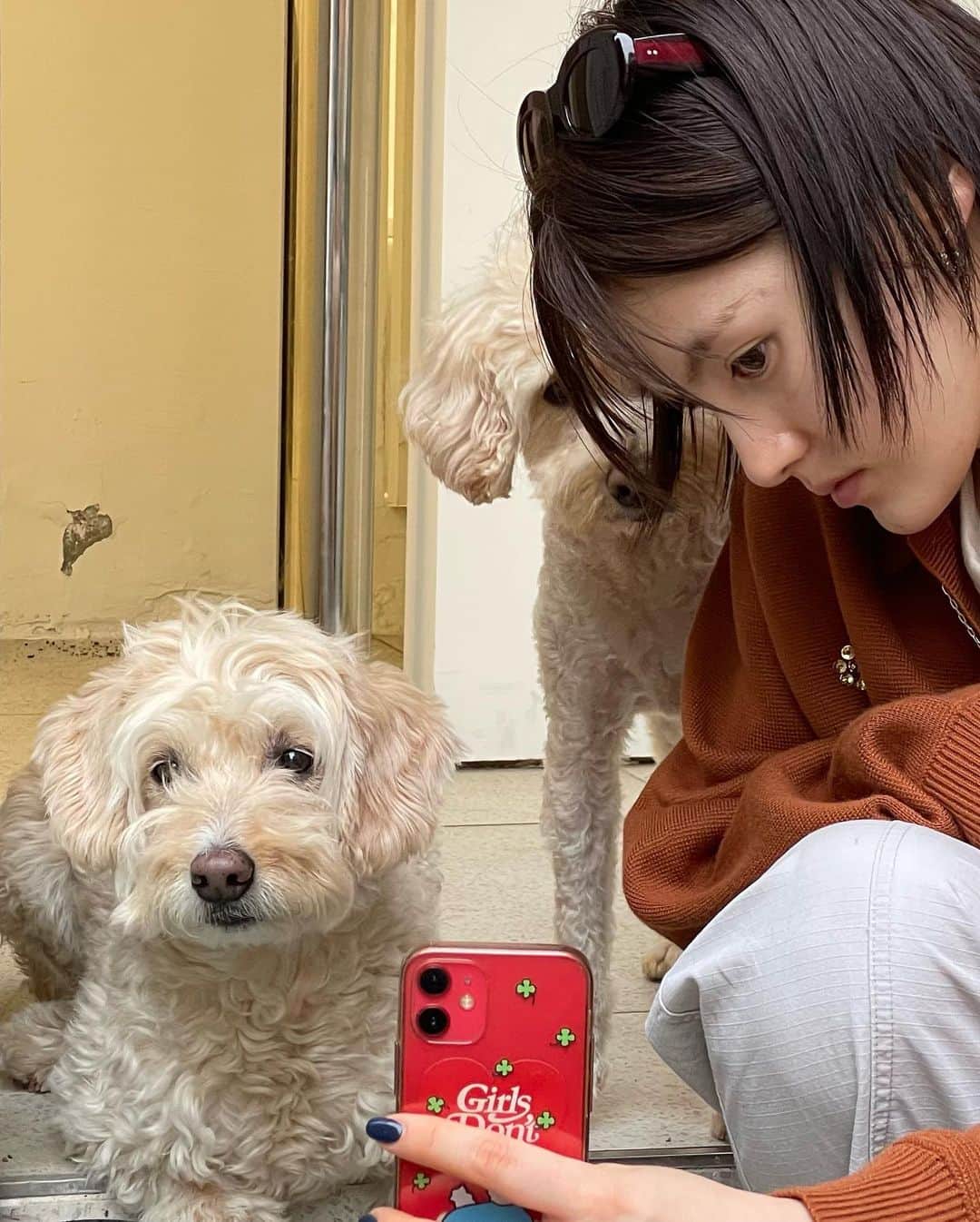 キム・ヨンジさんのインスタグラム写真 - (キム・ヨンジInstagram)「강아지와 함께하는 주말🐶 저녁에는 무조건 구미호뎐 1938  #구미호뎐1938   본방사수💞」5月13日 17時08分 - demi_kimee