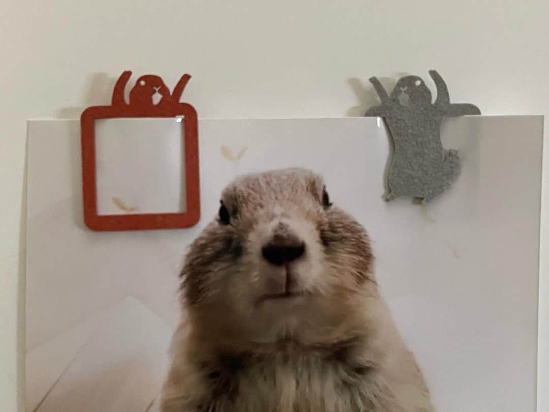 ikaoのインスタグラム