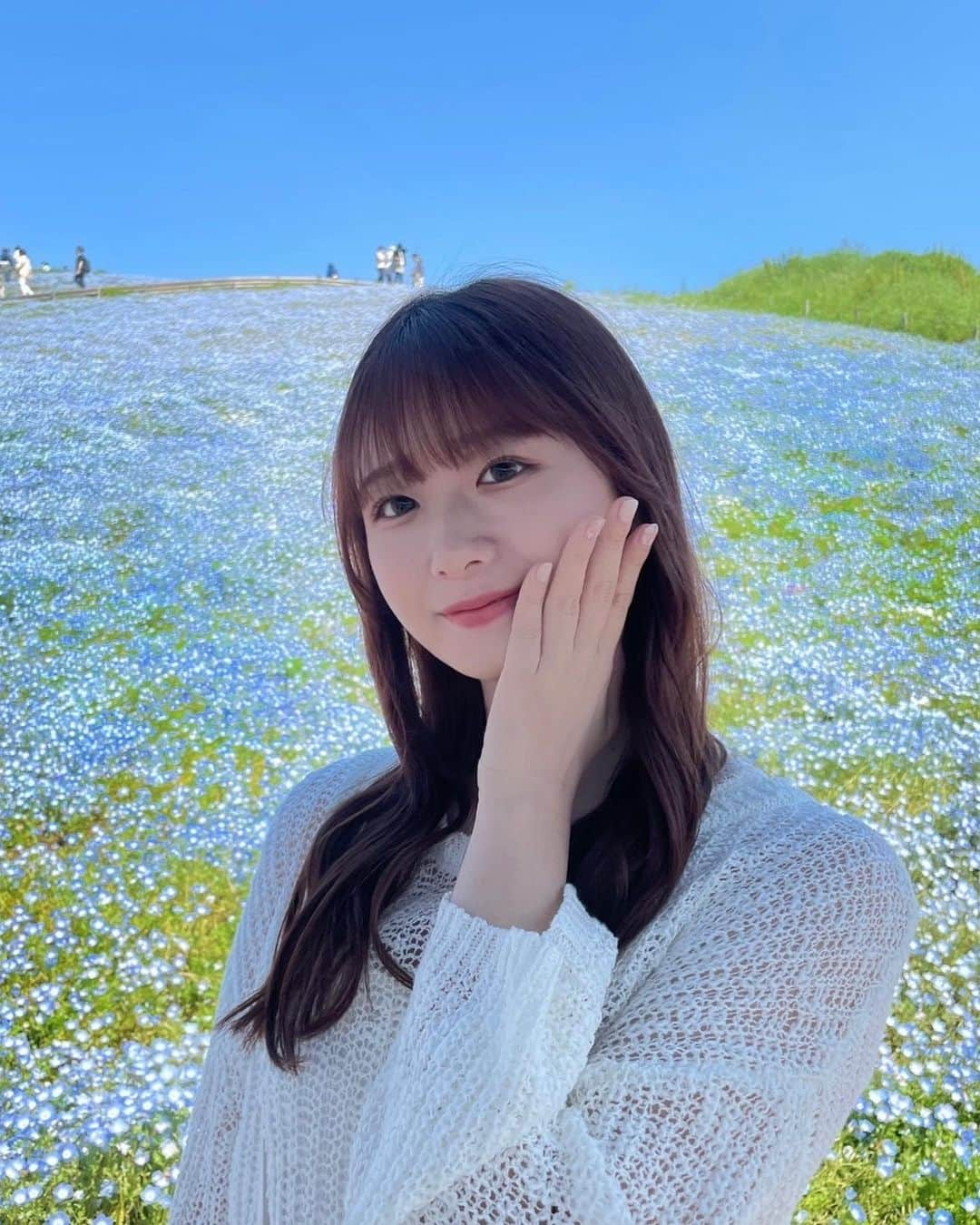 杉本彩寧さんのインスタグラム写真 - (杉本彩寧Instagram)「📍国営ひたち海浜公園  ずっとネモフィラを見に行きたくて、、 やっと行けたんだけどすごく綺麗だった😭💖  屋台もたくさん出てて美味しかった〜  #ネモフィラ #ネモフィラブルー #国営ひたち海浜公園 #ひたち海浜公園」5月13日 19時15分 - ayane._n