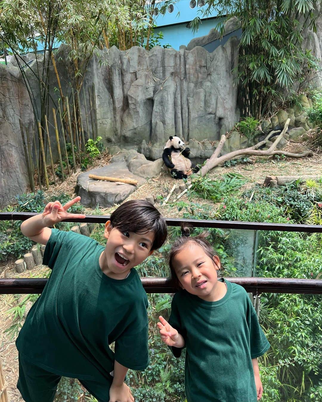 春名亜美さんのインスタグラム写真 - (春名亜美Instagram)「@mandaiwildlifereserve には「シンガポール動物園」「ナイトサファリ」「リバーワンダー」があるんですが、  今回は、水族館と動物園が同時に楽しめる、『リバーワンダー(旧リバーサファリ)』を選びました🦭🐊🐆  アジアで初めて「川」をテーマとしたサファリパークで、 マナティー、ピラルク、ピラニア、アロワナ、リスザル、ワニなどなど…息子達大喜びの生き物達が大集結🐍🦎🐒🌴  アマゾン川をボートに乗って探検できるアトラクション「アマゾン・リバー・クエスト」はすごく楽しかった🚤  ジャガー、カピバラ、オオアリクイ、ブラジルバク、フラミンゴ…などが見れて、リアルにアマゾン川に行った気分になれるアトラクションでした🐆🦩🦜  そして、最後は大人気のパンダエリア🐼 もうただ一言。 #かわいい🥺  ナイトサファリも動物園も連れて行ってあげたかったけど、今回は時間が足りなかった💦  #AmazonRiverQuest  #アマゾンリバークエスト #riverwonder #riversafarisingapore #mandaiwildlifereserve #シンガポール動物園 #リバーワンダー #シンガポール #ll_旅記録 #シンガポール旅行 #子連れシンガポール #子連れ旅行」5月13日 17時44分 - amiharunaami