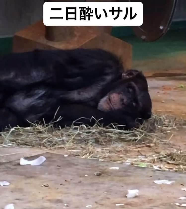 銘苅のインスタグラム