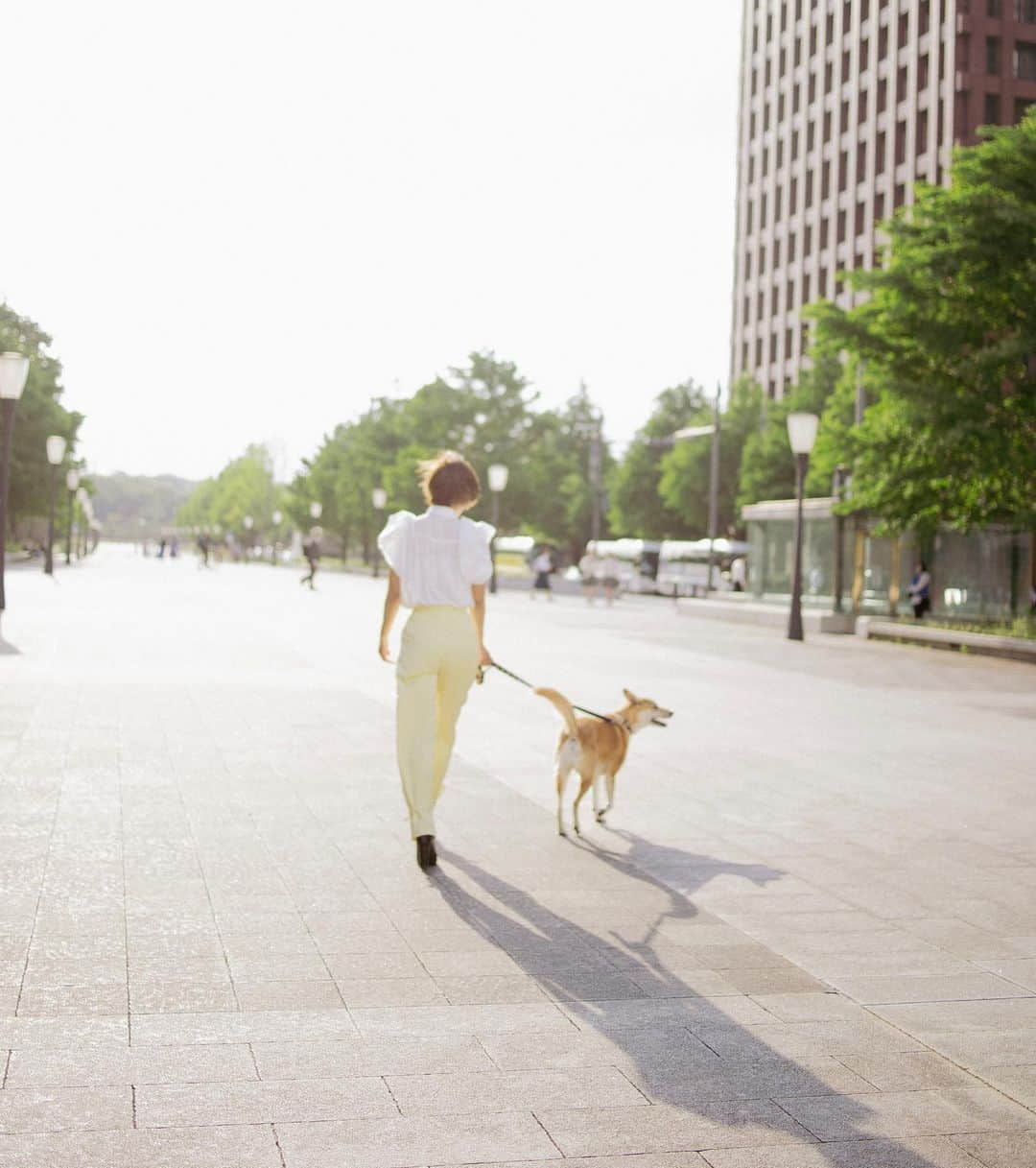 粕谷聡子さんのインスタグラム写真 - (粕谷聡子Instagram)「今日は #愛犬の日 🐾 生まれつき耳が聞こえないけど、その分私の気持ちを汲み取っていつも側で見守っててくれるさとしくん🐕✨マイペースで塩対応なあなたがこれからもずっと大好き💕いつまでも元気で幸せでいてくれます様に…🧡💛  Satoshi, you were born unable to hear, but you've always been there by my side, intuitively understanding my feelings. Your calm demeanor and unique way of interacting have a charm that I will never cease to love. Thank you for being born, for being part of my life♡♡♡ _____________________________________Satoko___★* #tokyo #japan #dancer #댄서 #気象予報士 #weatherforecaster #nodancenolife #スポーツ女子 #workout #fitness #fitgirl #abs #japanese #satokokasuya #粕谷聡子」5月13日 17時53分 - satokokasuya