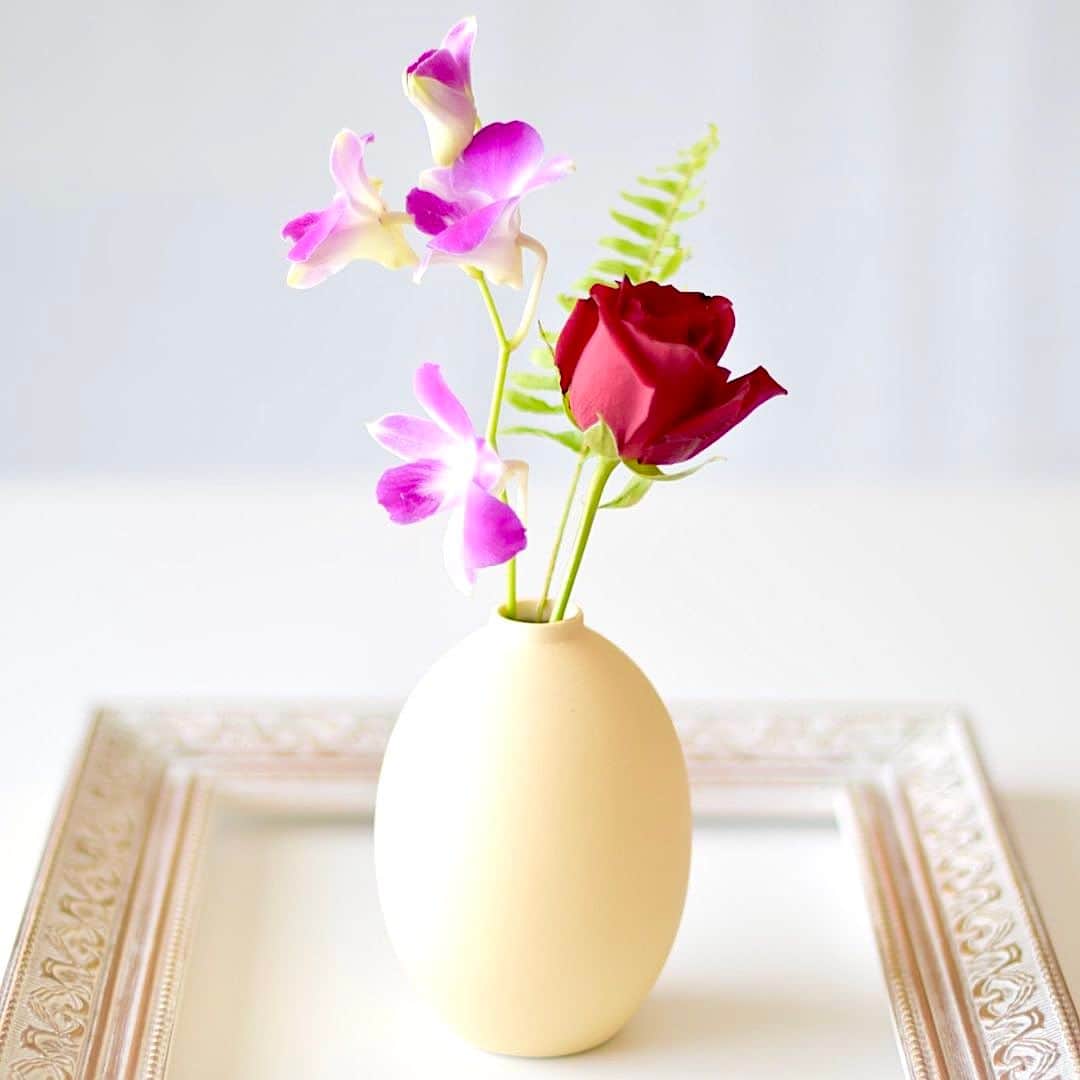 Bloomee LIFEさんのインスタグラム写真 - (Bloomee LIFEInstagram)「まるで絵画のような素敵な飾り方💐  マットな陶器製の花瓶に飾って バラの華やかさが引き立つ空間に🌹✨  デンファレを添えて さらに大人っぽく仕上げました🌸  Pum_Jeunesverts さんのお写真  #bloomee#ブルーミー#お花の定期便#癒し時間#サブスク#花のある生活#花好きな人と繋がりたい#花写真#花が好き#花を飾る#丁寧な暮らし#お花のある暮らし#暮らしを整える#おうち時間#インテリア」5月13日 18時00分 - bloomee