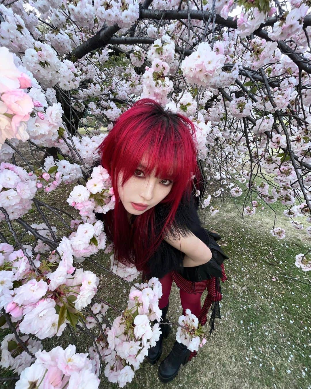 なつかのインスタグラム：「IN MY HEART IT’S PERFECT👸🏻🖤❤️」