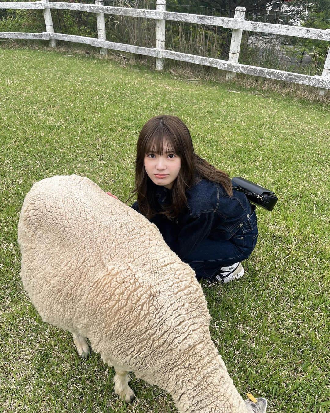 青井乃乃さんのインスタグラム写真 - (青井乃乃Instagram)「めちゃくちゃ楽しみにしてた牧場🐮🌱必死に撮ったけど羊さんあんまり顔写ってないです💦、笑  念願のアイスも食べて最高だったぜ  #牧場  #牧場コーデ #六甲山牧場 #神戸デート #神戸観光  #六甲山」5月13日 19時02分 - no.17_11