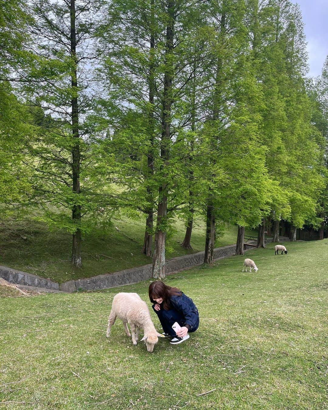 青井乃乃さんのインスタグラム写真 - (青井乃乃Instagram)「めちゃくちゃ楽しみにしてた牧場🐮🌱必死に撮ったけど羊さんあんまり顔写ってないです💦、笑  念願のアイスも食べて最高だったぜ  #牧場  #牧場コーデ #六甲山牧場 #神戸デート #神戸観光  #六甲山」5月13日 19時02分 - no.17_11