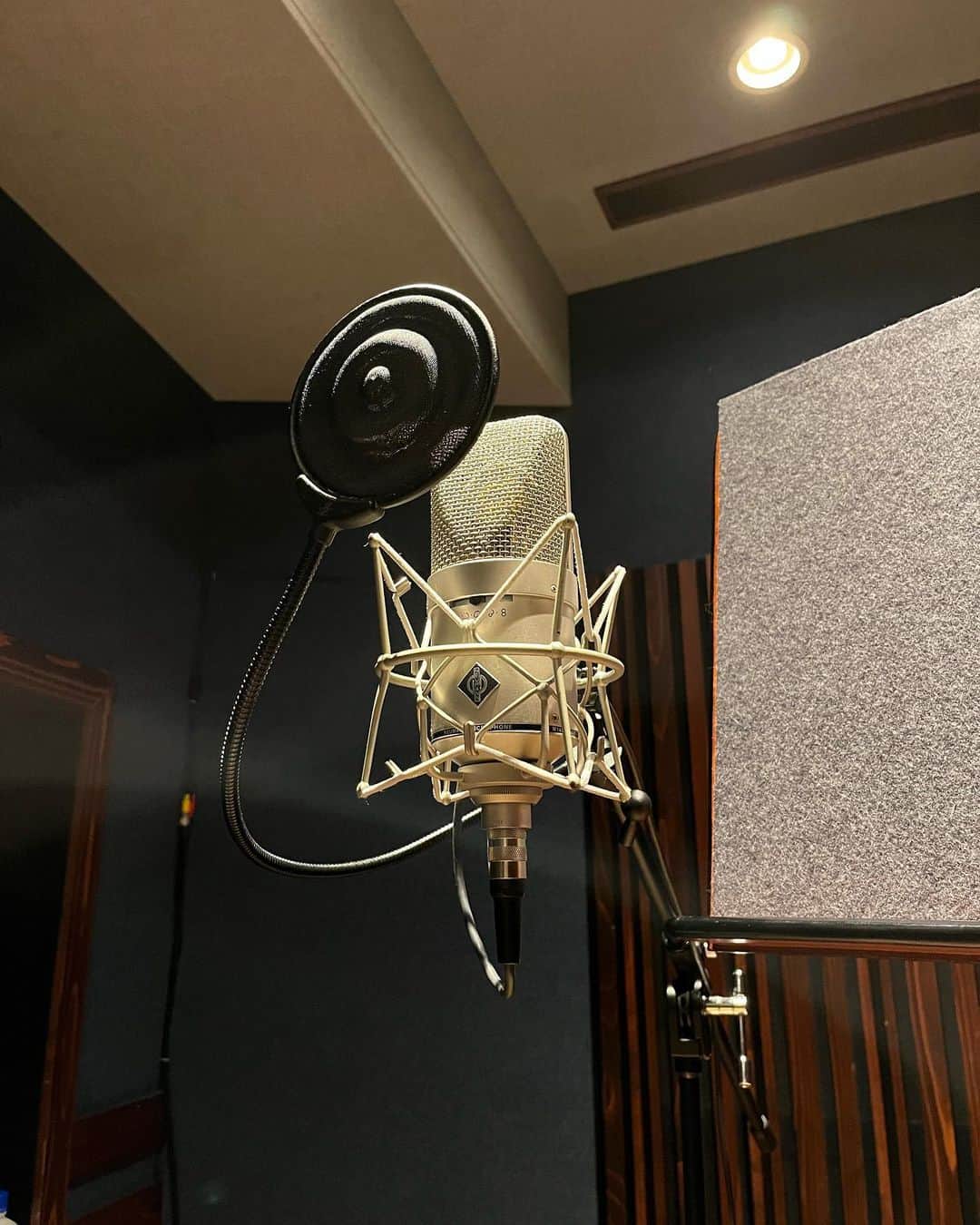 Shinnosukeさんのインスタグラム写真 - (ShinnosukeInstagram)「今日は歌入れ。 上手だったので早く終わった〜。 僕が歌ったわけではないけどね。  #studio #recording #vocal」5月13日 19時41分 - shinscapade