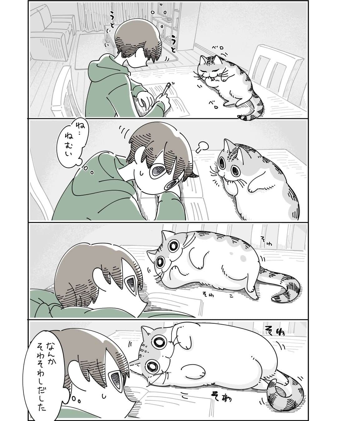 キュルZのインスタグラム：「そのまま近づいてくるとは思わなかった  #キュルガ #夜は猫といっしょ #猫 #cat #猫漫画 #猫のいる暮らし」