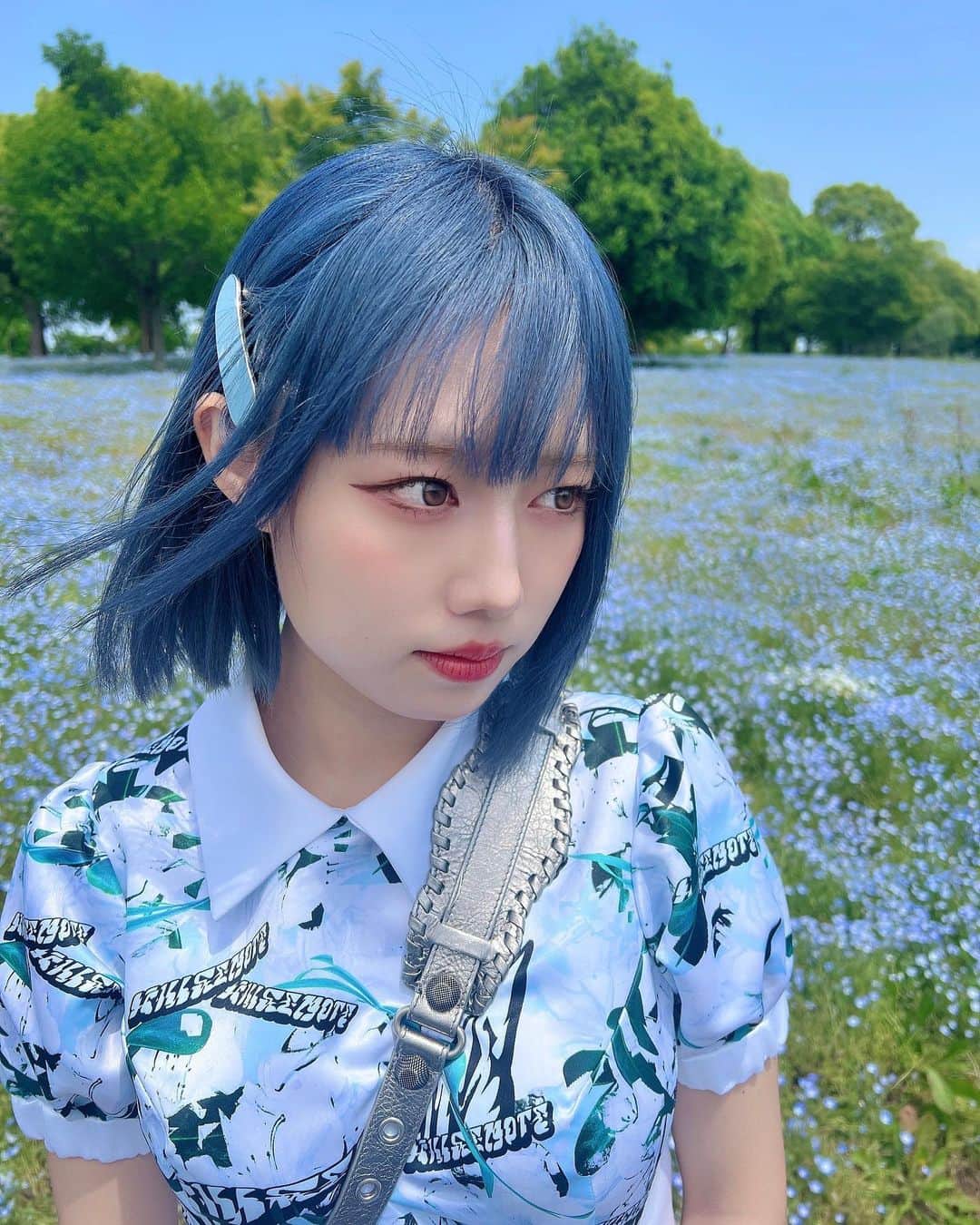 廣田あいか のインスタグラム：「ㅤㅤㅤㅤㅤㅤㅤㅤㅤㅤㅤㅤㅤㅤㅤㅤㅤㅤㅤㅤㅤㅤㅤㅤㅤㅤ  ネモフィラも見納め時期₍ᐢ- ̫-ᐢ₎ · °ㅤㅤㅤㅤㅤㅤㅤㅤㅤㅤㅤㅤㅤㅤㅤㅤㅤㅤㅤㅤㅤㅤㅤㅤㅤㅤ 咲いてるか不安だったけどㅤㅤㅤㅤㅤㅤㅤㅤㅤㅤㅤㅤㅤ まだたくさんあってうれしかったㅤㅤㅤㅤㅤㅤㅤㅤㅤㅤㅤㅤㅤ  青い髪にしたのでいいかんじ◎ㅤㅤㅤㅤㅤㅤㅤㅤㅤㅤㅤㅤㅤㅤㅤㅤㅤㅤㅤㅤㅤㅤㅤㅤㅤㅤ 舎人公園って思ってた何倍もㅤㅤㅤㅤㅤㅤㅤㅤㅤㅤㅤㅤㅤ遊べそうでㅤㅤㅤㅤㅤㅤㅤㅤㅤㅤㅤㅤㅤ すごい場所ㅤㅤㅤㅤㅤㅤㅤㅤㅤㅤㅤㅤㅤ！通いたくなった૮꒰⸝⸝˃ ⤙ ˂⸝⸝꒱აㅤㅤㅤㅤㅤㅤㅤㅤㅤㅤㅤㅤㅤ ㅤㅤㅤㅤㅤㅤㅤㅤㅤㅤㅤㅤㅤ ㅤㅤㅤㅤㅤㅤㅤㅤㅤㅤㅤ」