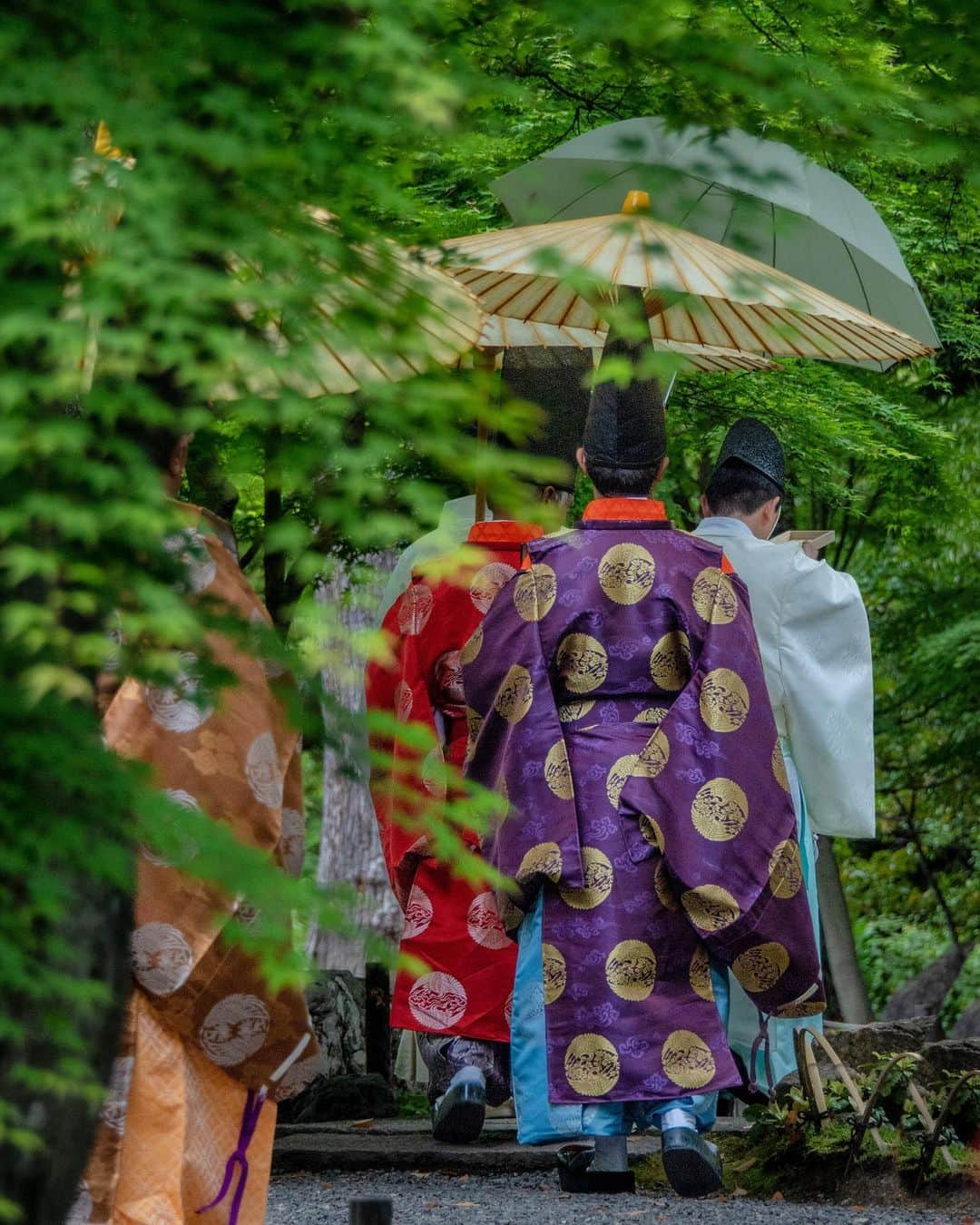 あや ◡̈*❤︎ayaのインスタグラム：「. 雨の降る中、わたしの前には色々遮るものがあって  （ちょっと待ってー）ってのは心の声🫠  ツツジを添えて🌺 ※せっかくの見頃に行ってたのに、その時は事情で撮ってなかったので こちら  📍京都市  #城南宮 #ツツジ」