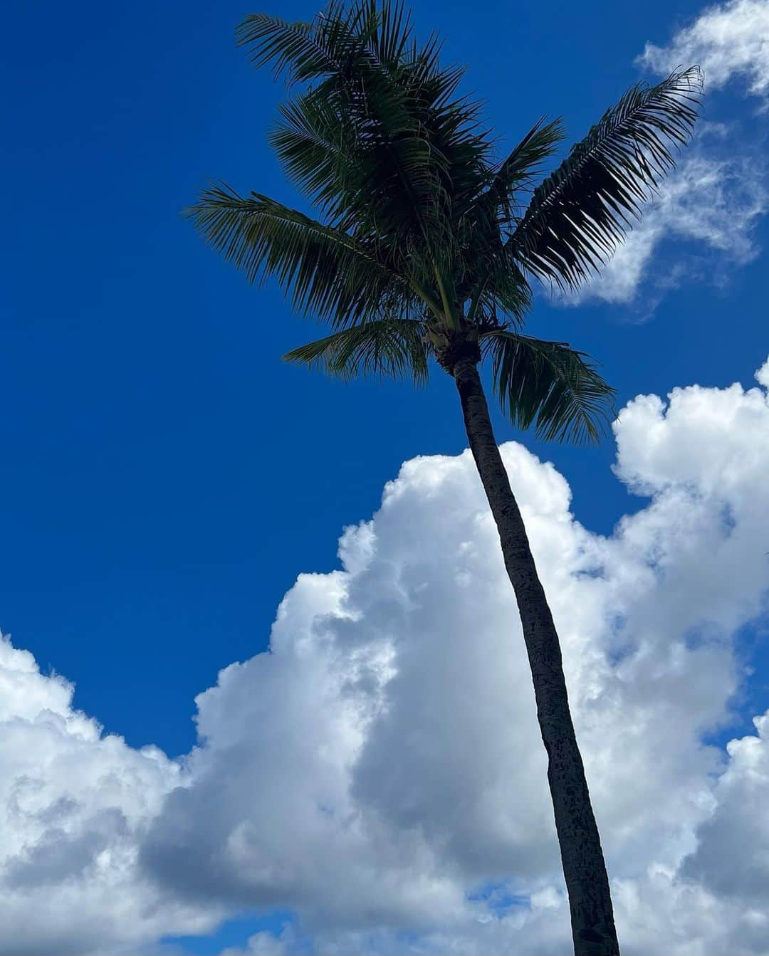 浦野秀太さんのインスタグラム写真 - (浦野秀太Instagram)「いい天気〜〜☀️  🍌🍌🍌」5月13日 20時58分 - shuta_urano